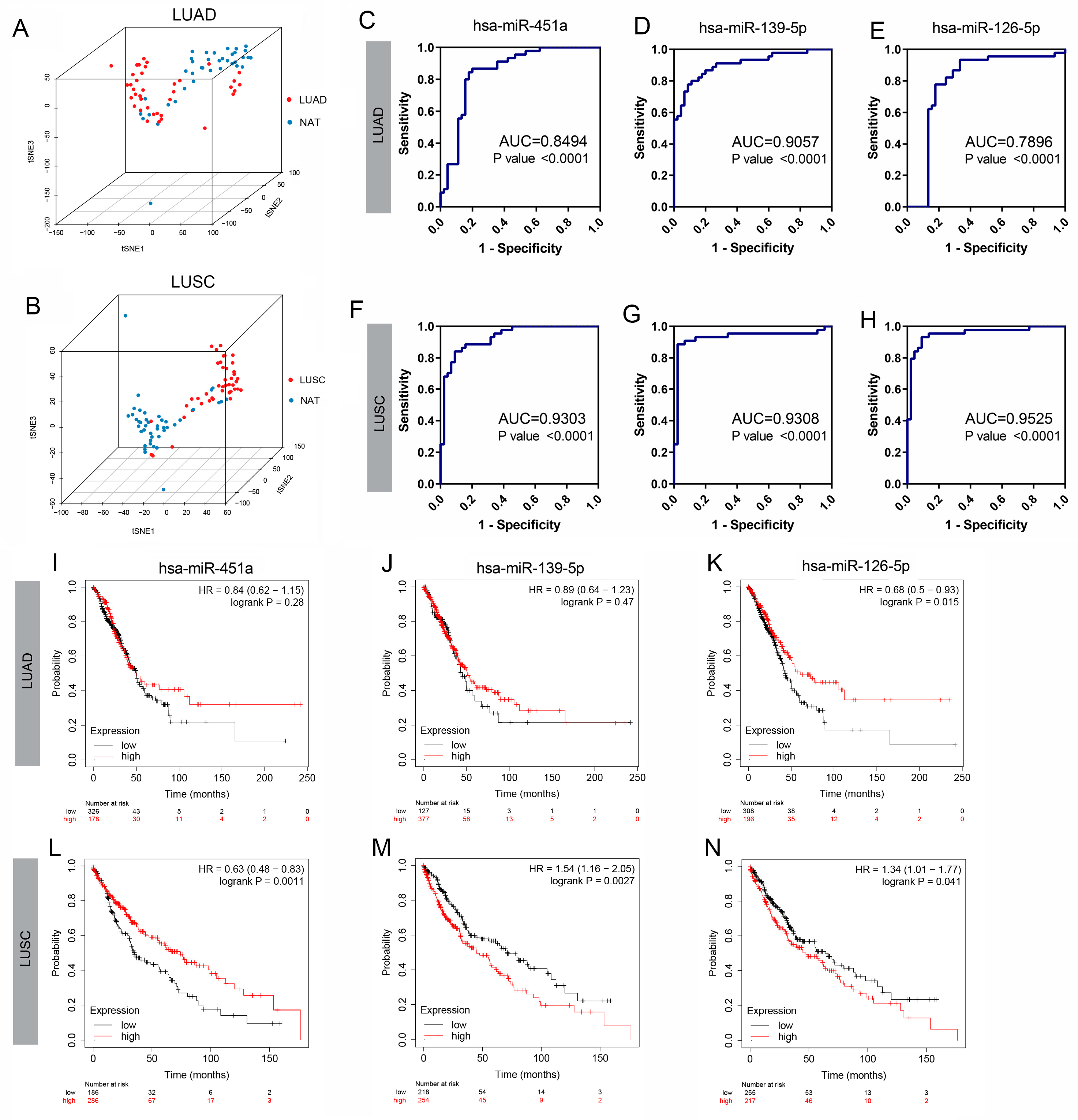 Biology 14 00399 g002
