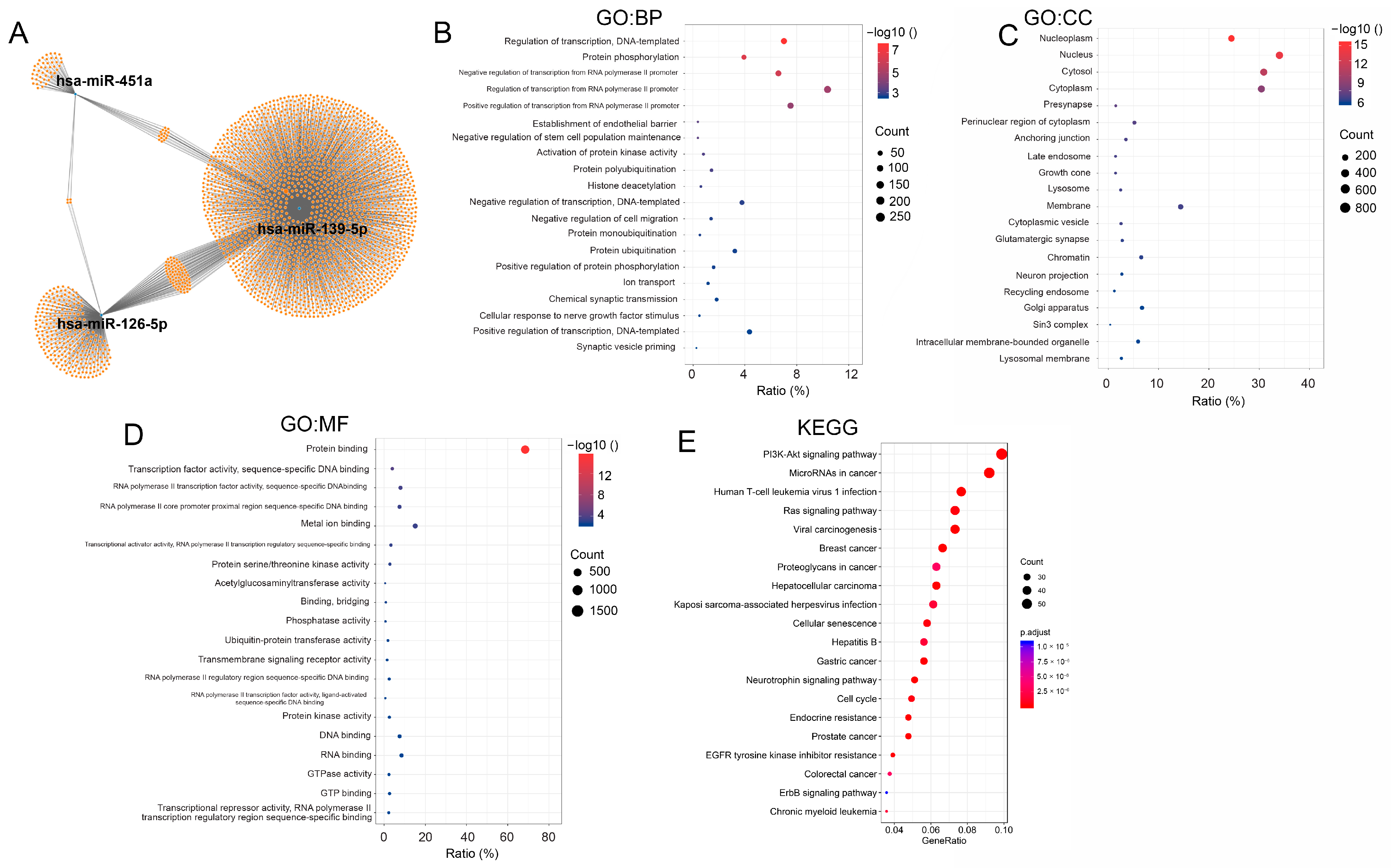 Biology 14 00399 g003