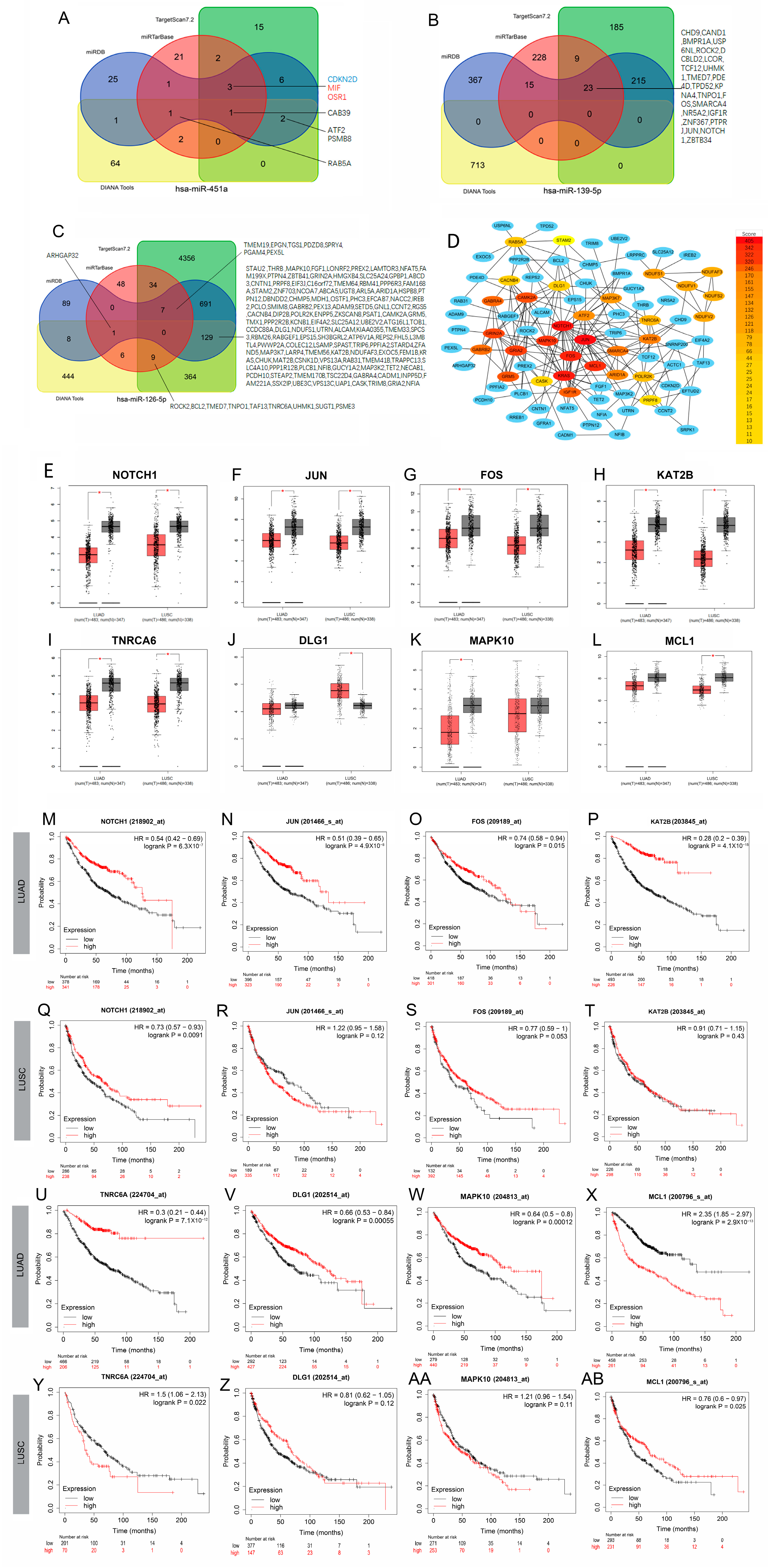 Biology 14 00399 g004