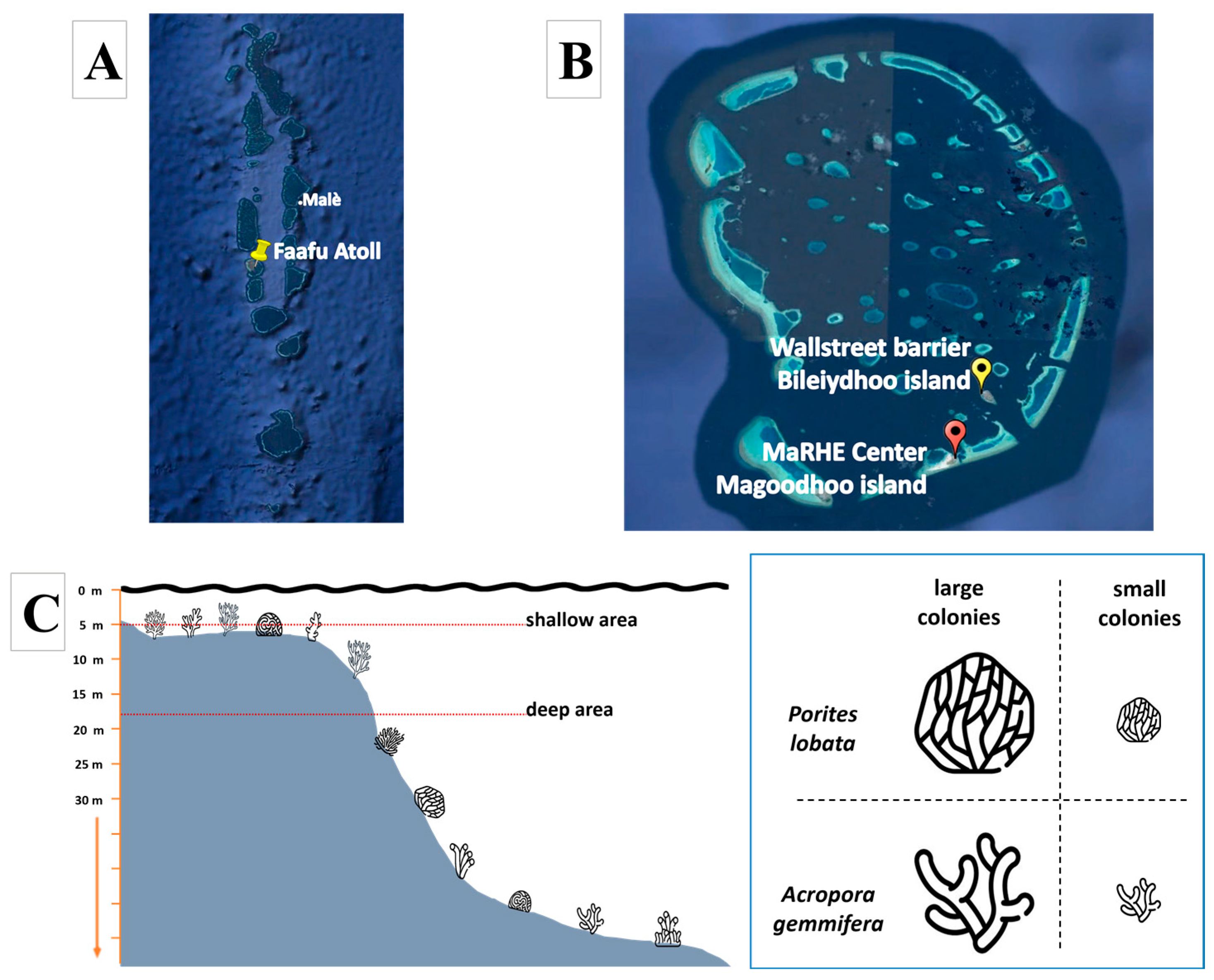 Biology 14 00401 g001