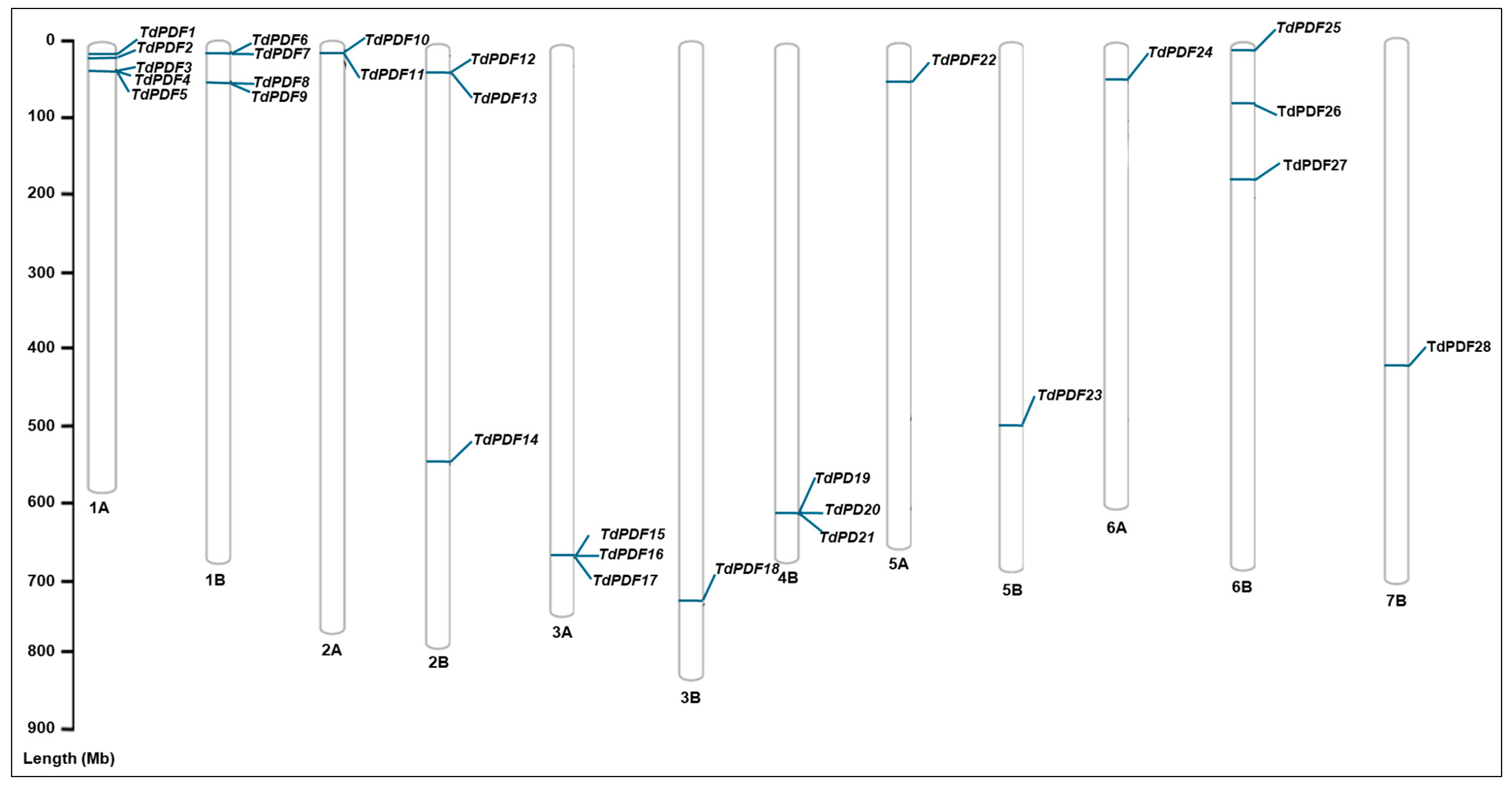 Biology 14 00404 g001