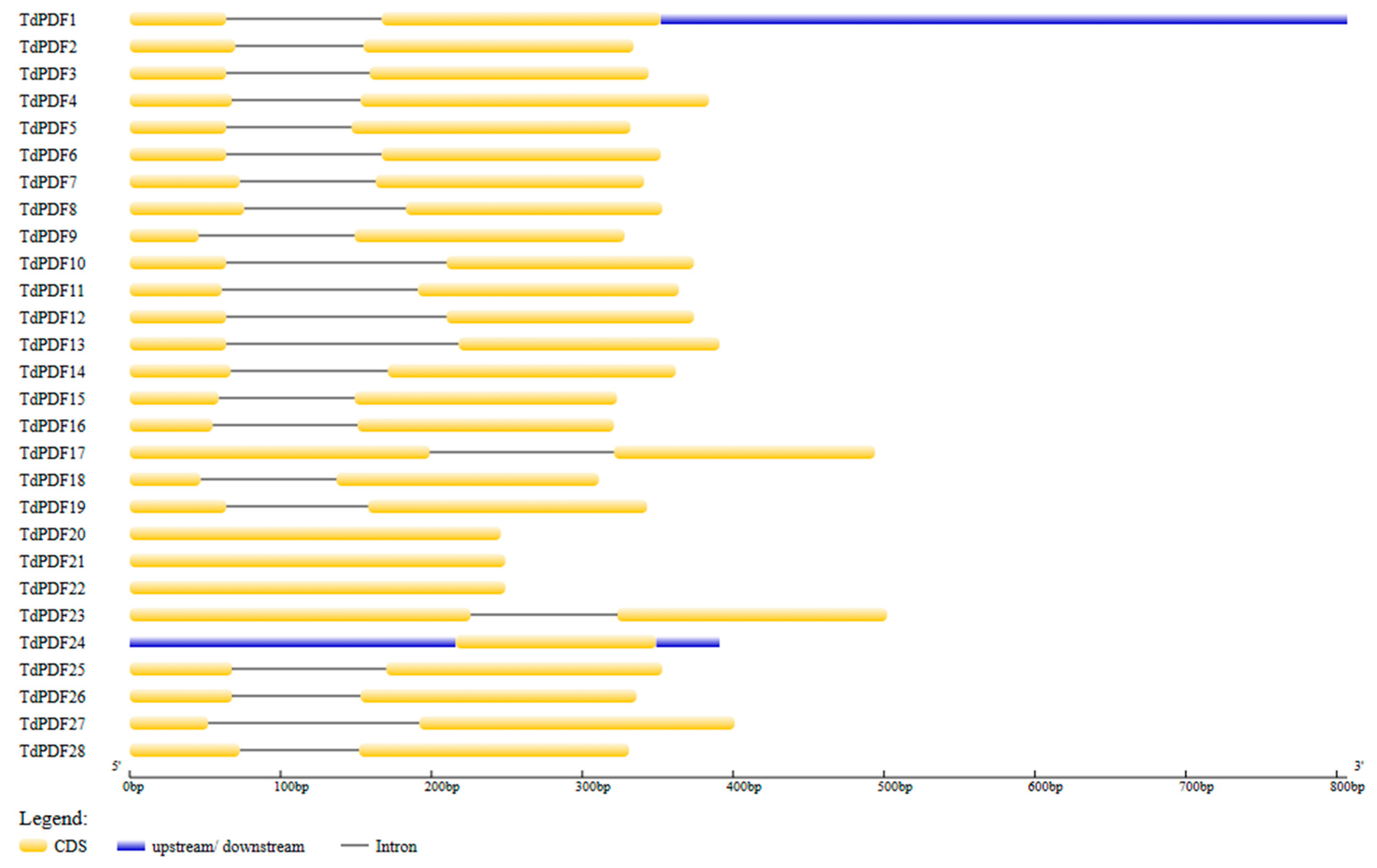 Biology 14 00404 g004