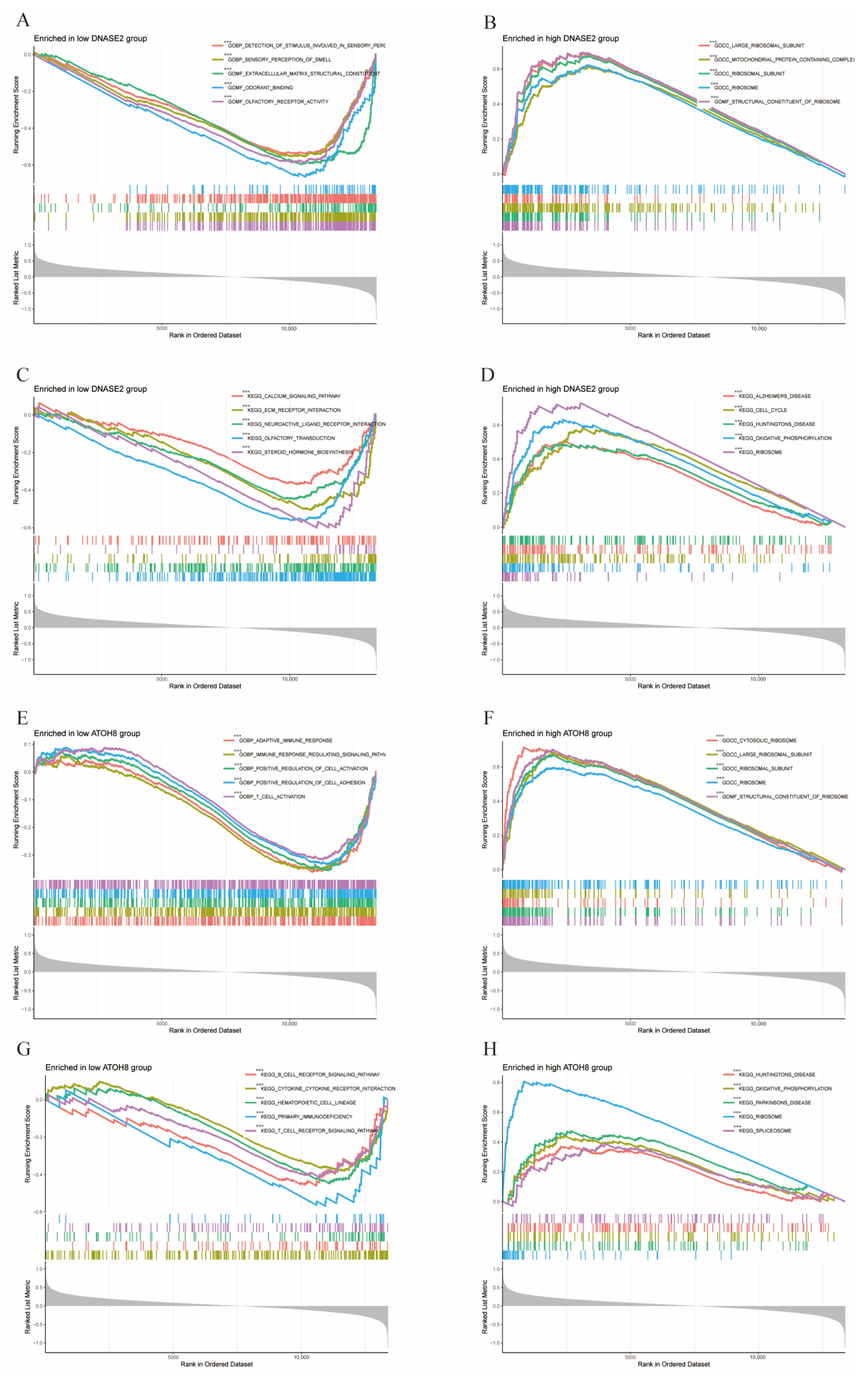 Biology 14 00405 g007