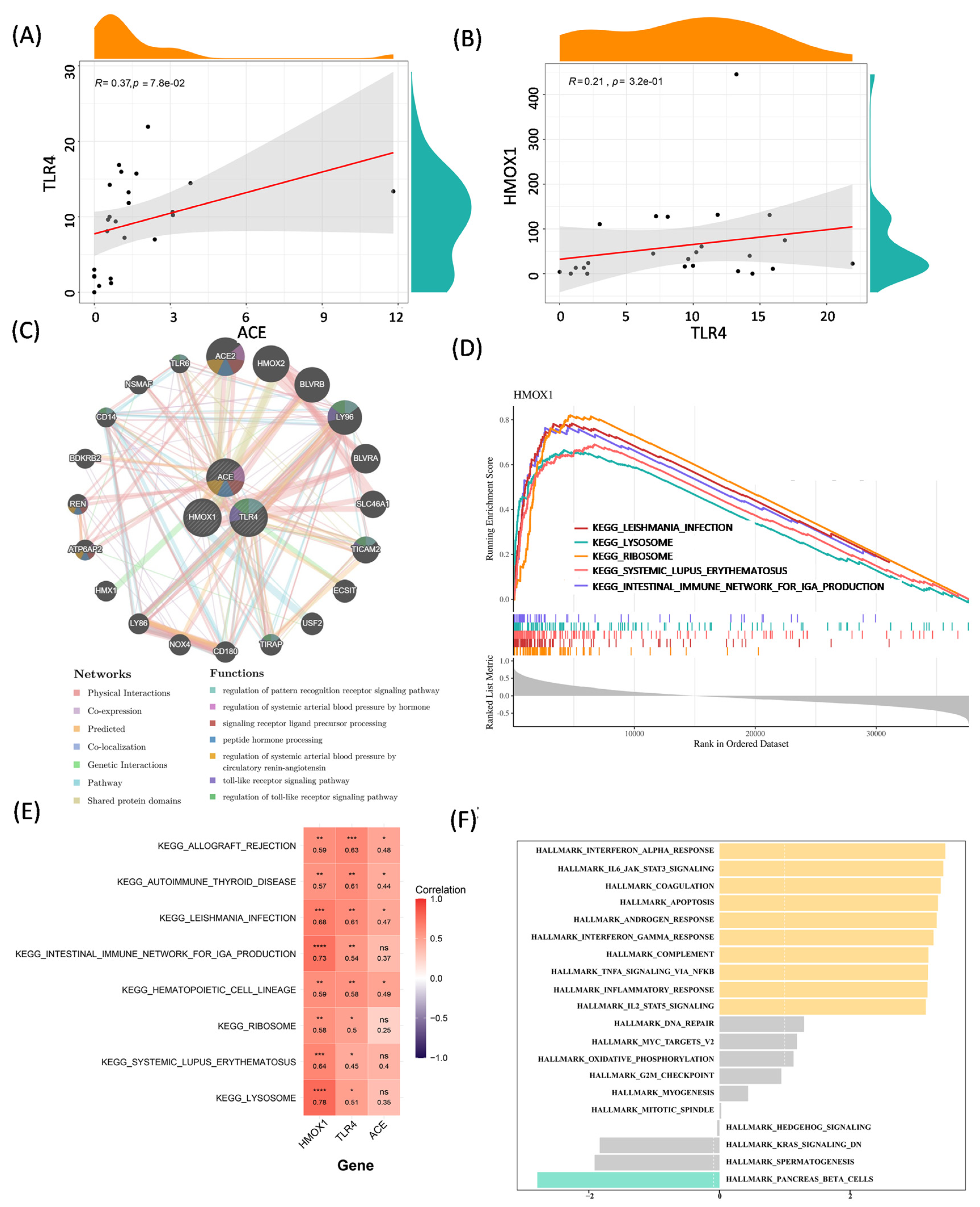 Biology 14 00409 g003