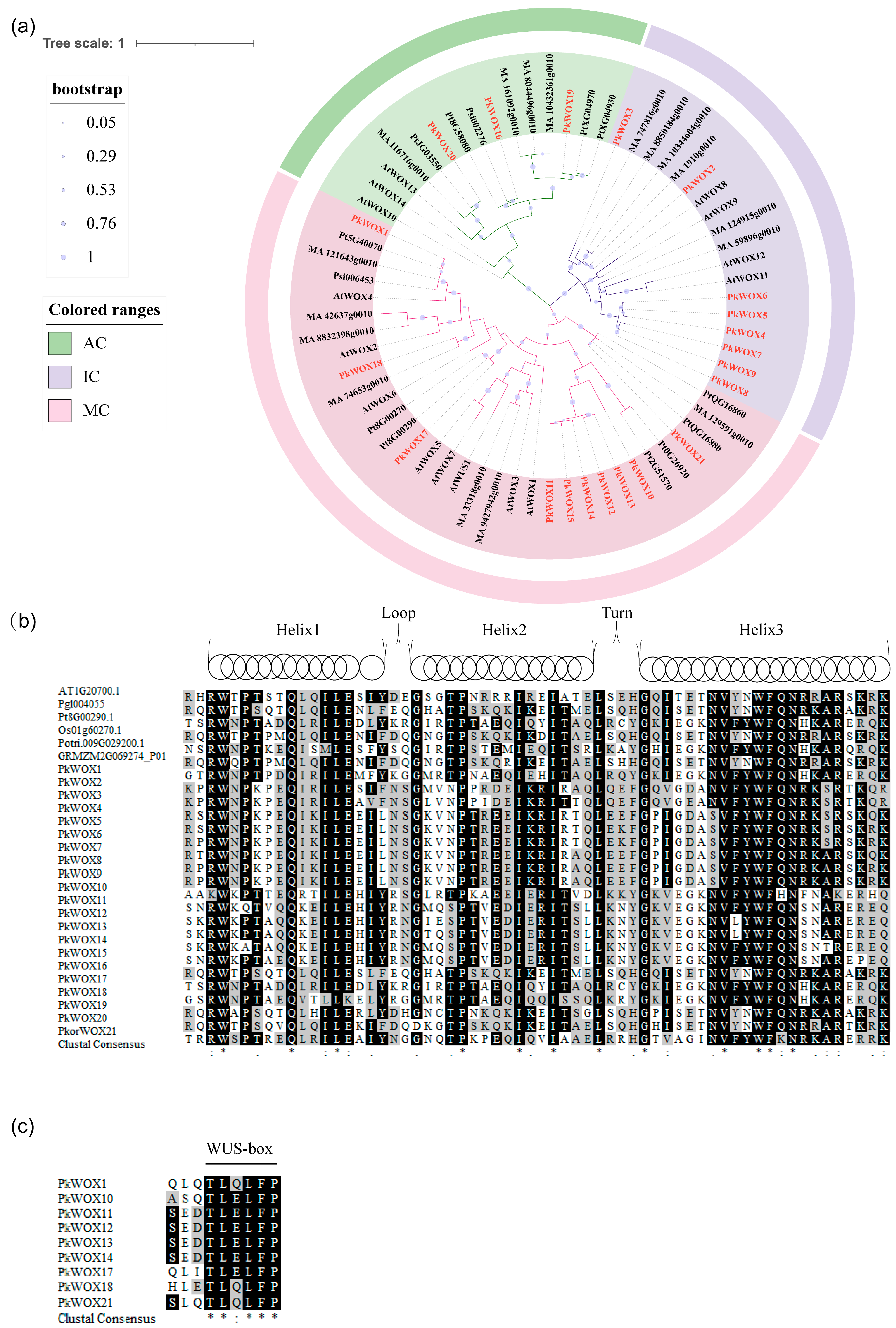 Biology 14 00411 g001