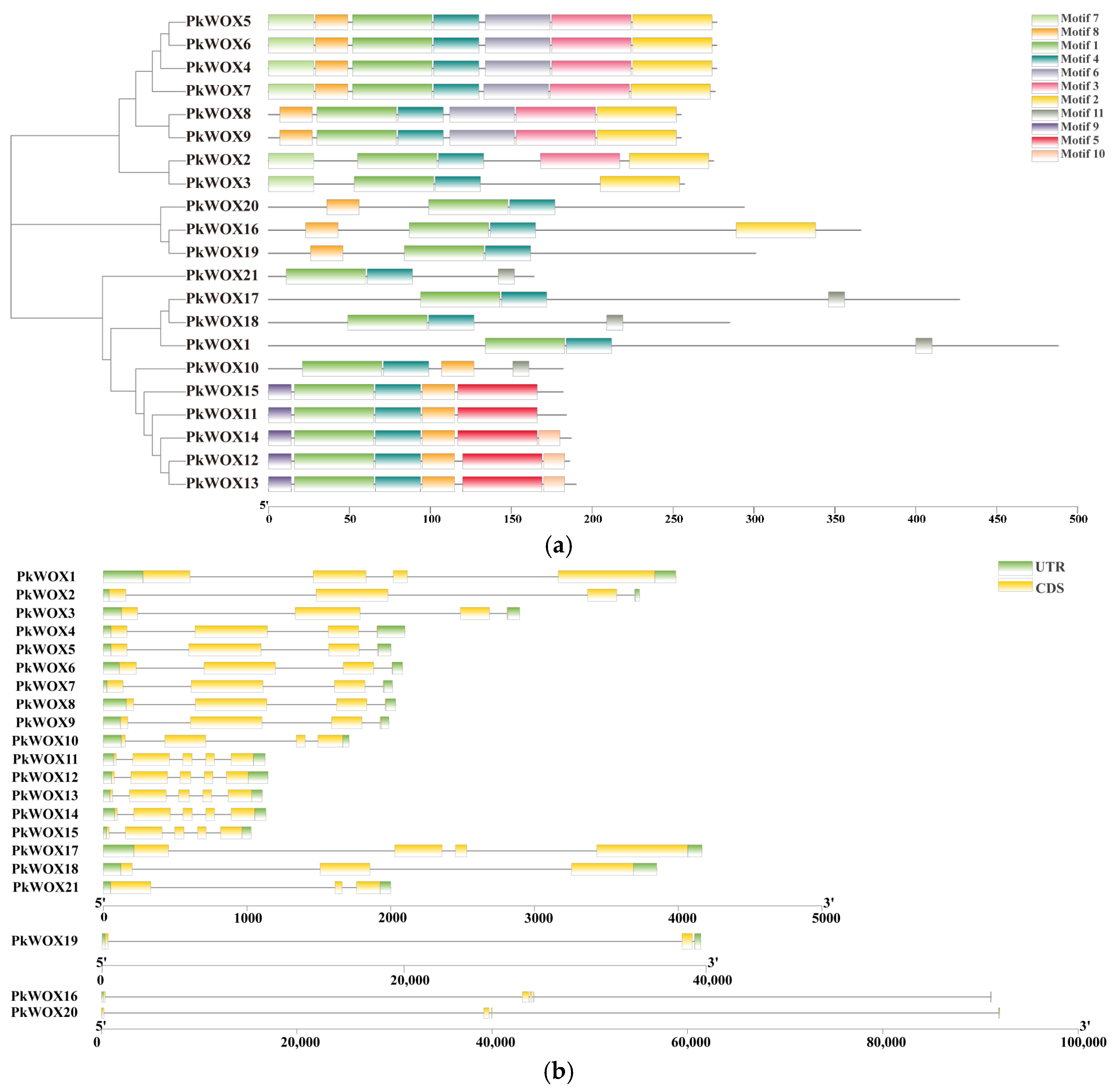 Biology 14 00411 g002