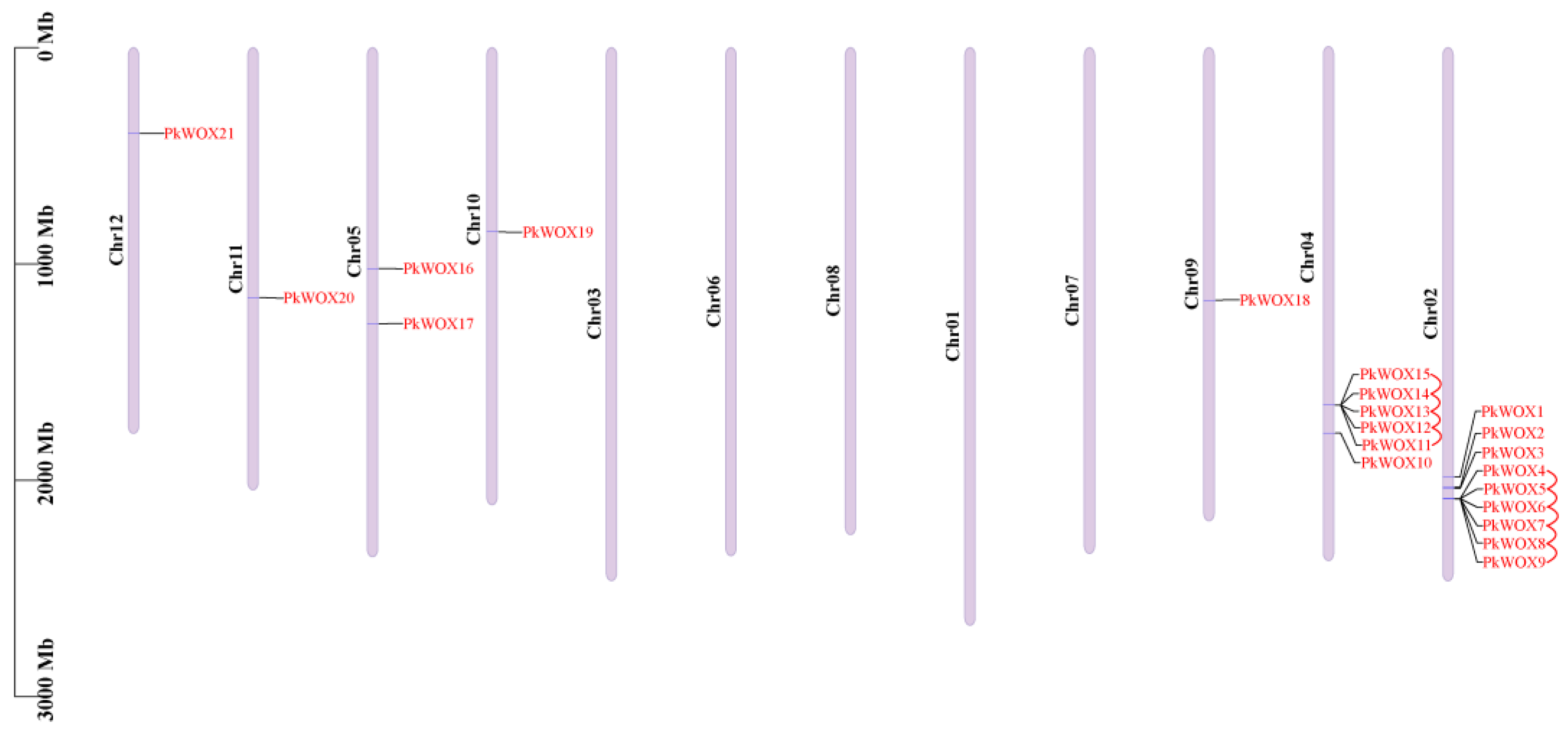 Biology 14 00411 g003