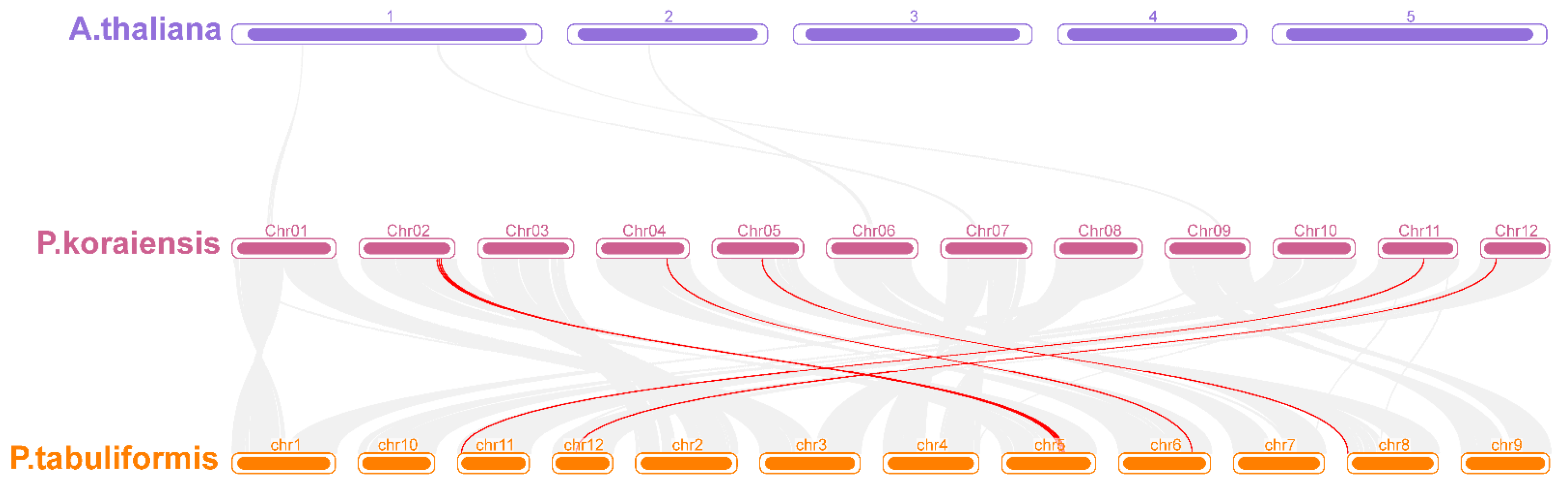 Biology 14 00411 g004