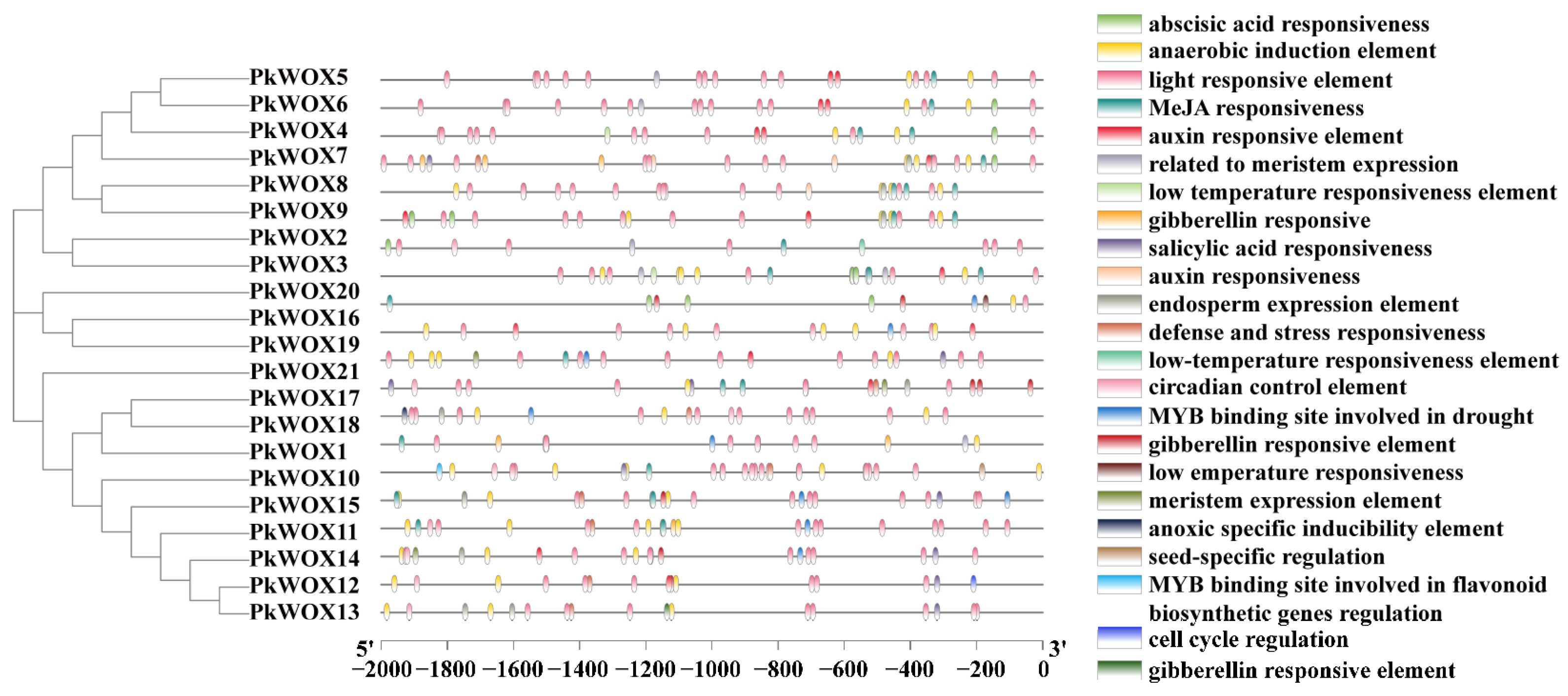 Biology 14 00411 g005