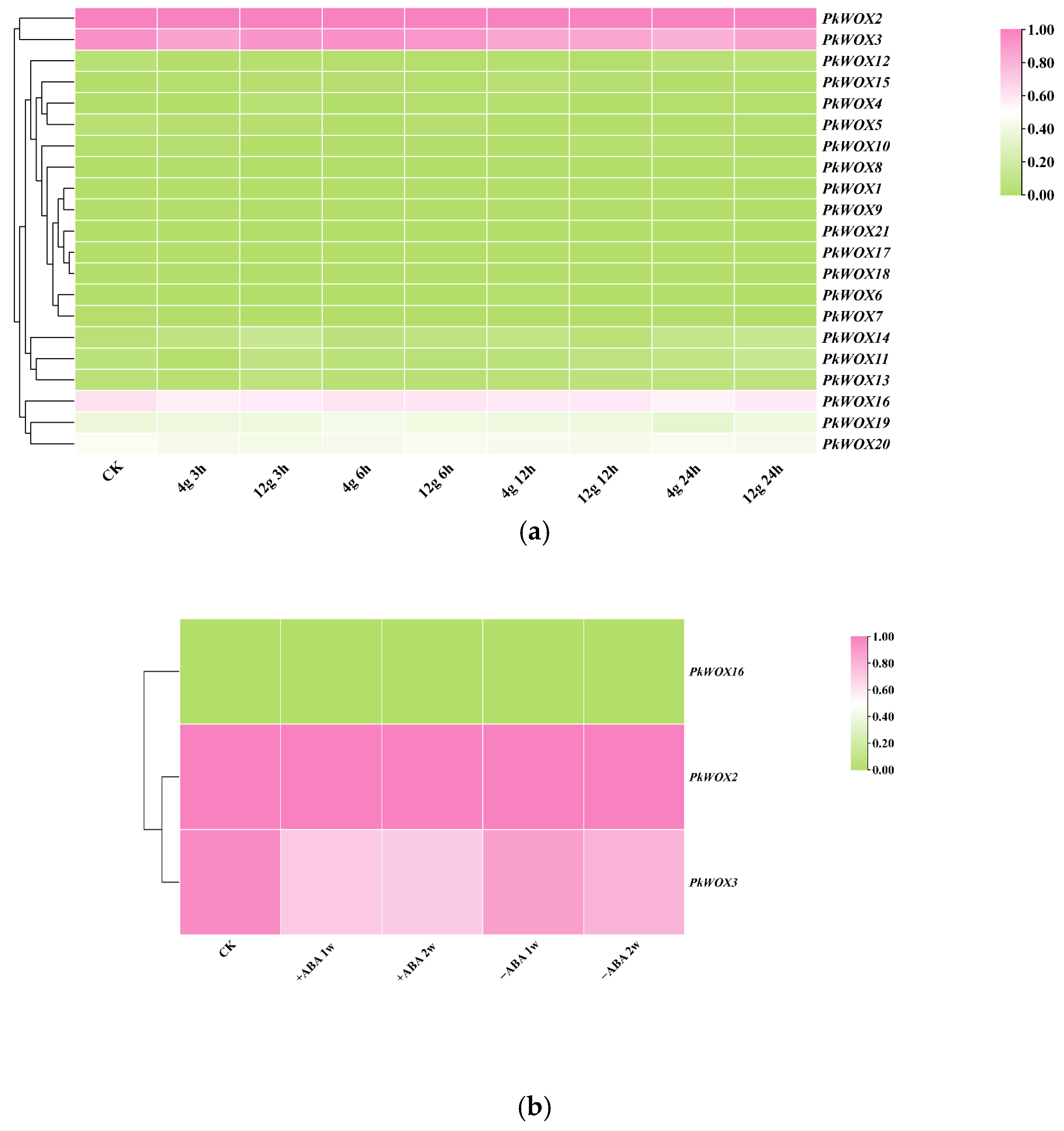 Biology 14 00411 g008