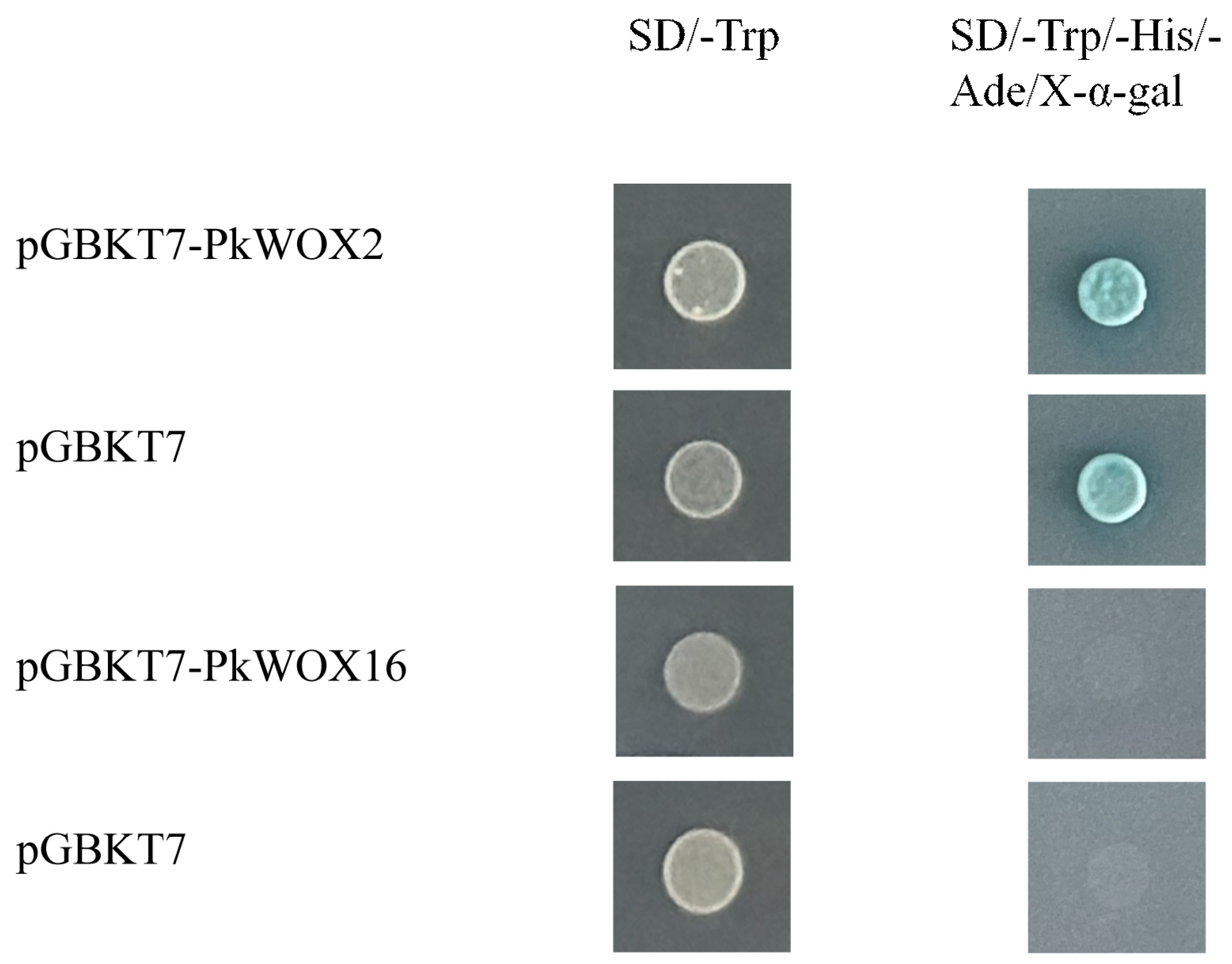Biology 14 00411 g010