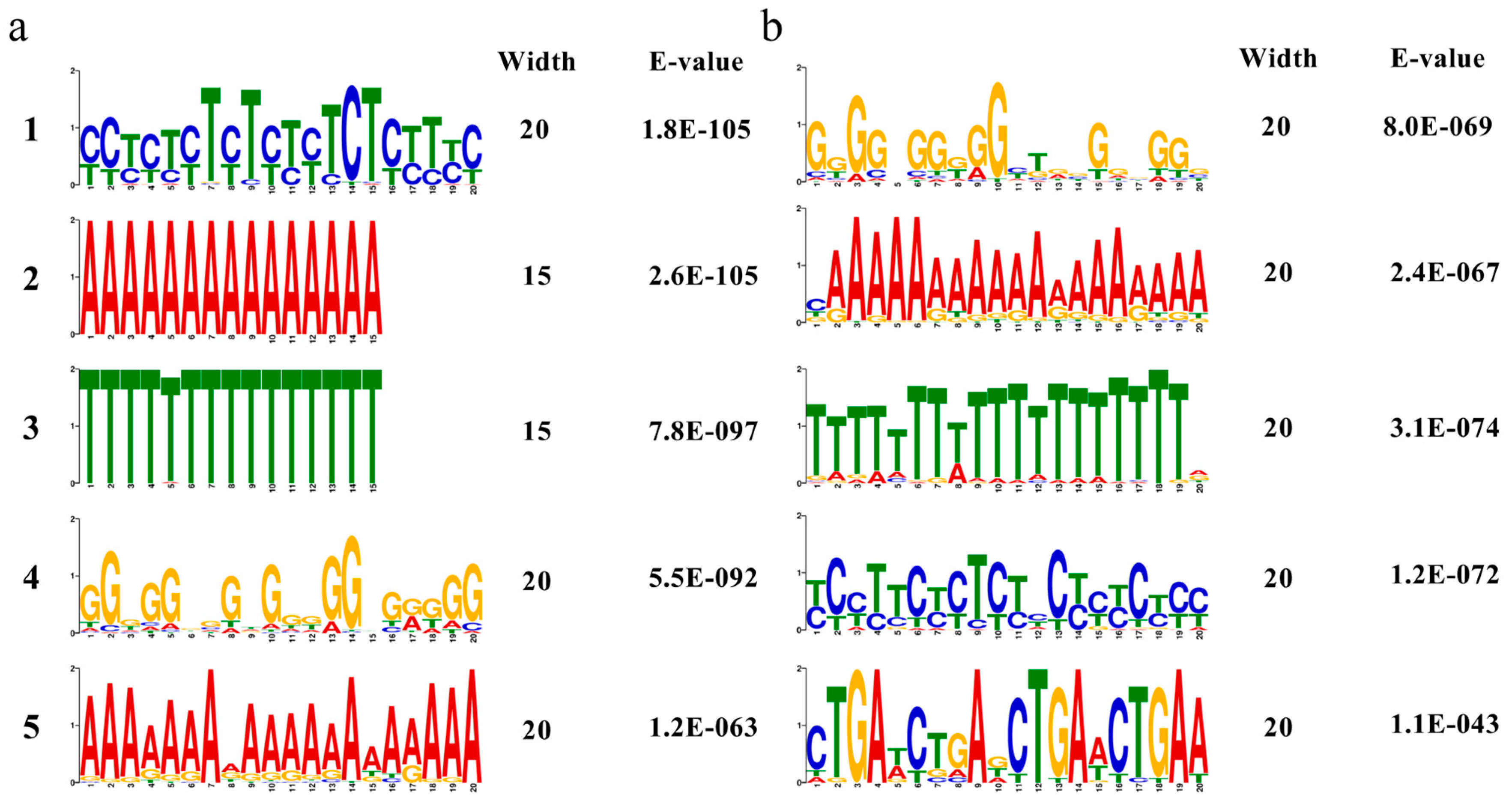 Biology 14 00416 g013