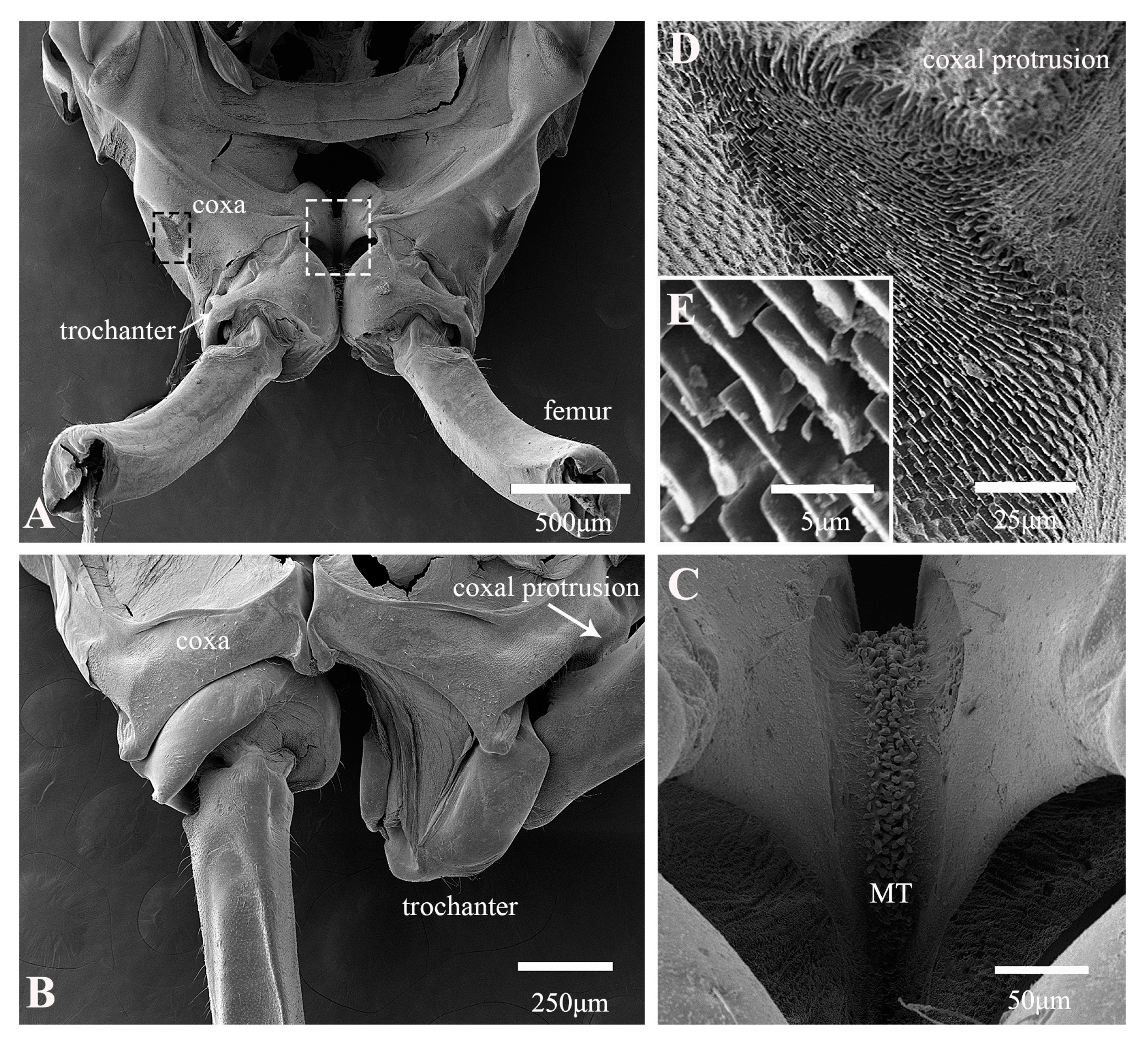 Biology 14 00418 g003 Biology 14 00418 g003