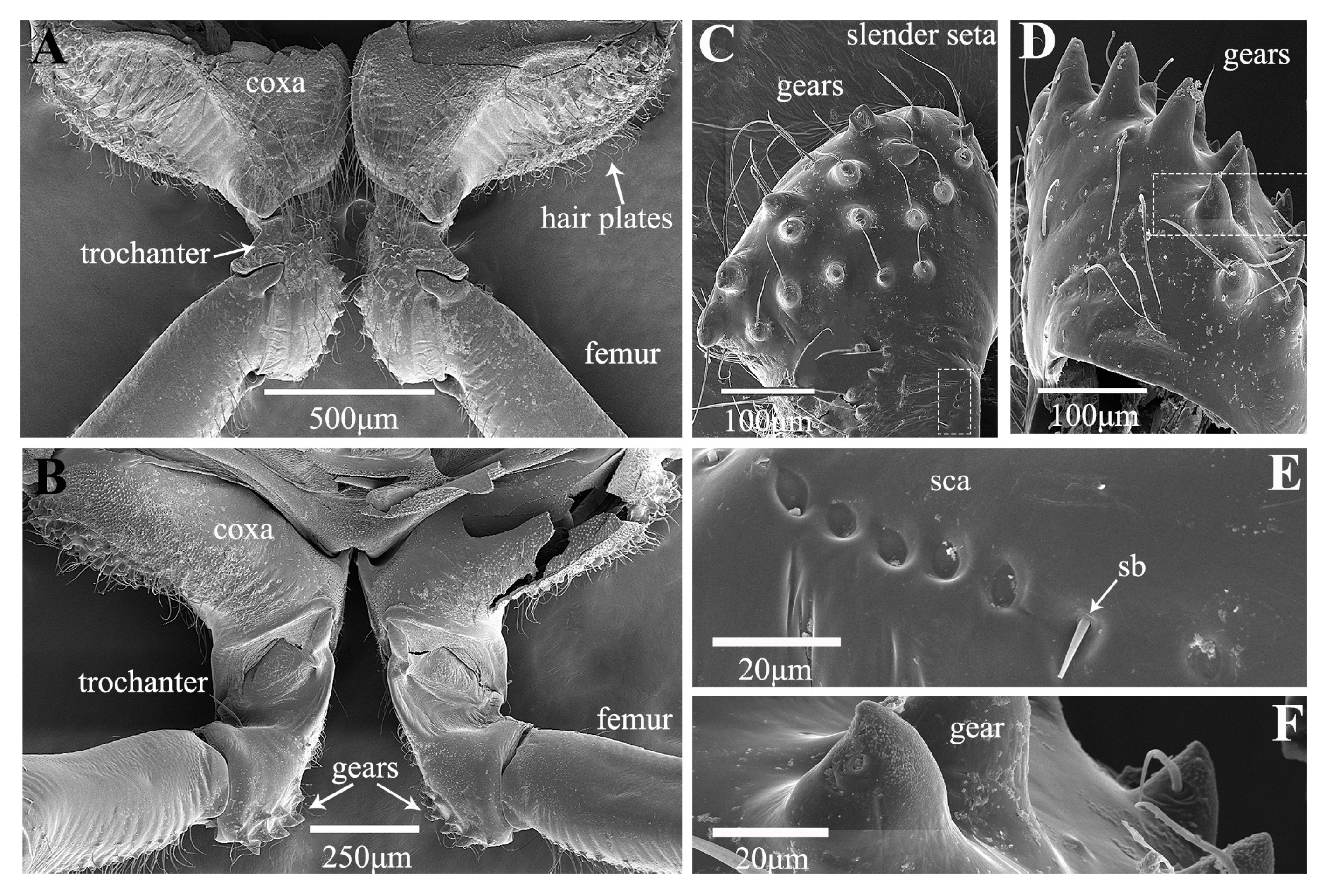 Biology 14 00418 g007 Biology 14 00418 g007