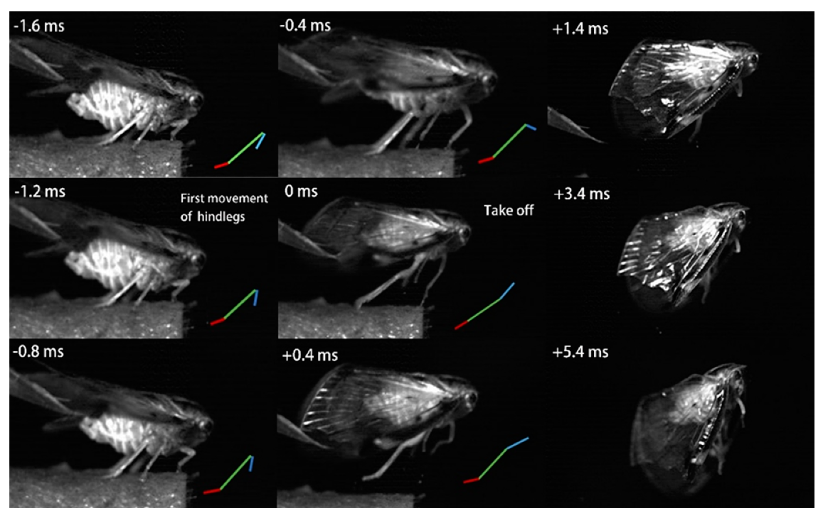 Biology 14 00418 g010 Biology 14 00418 g010