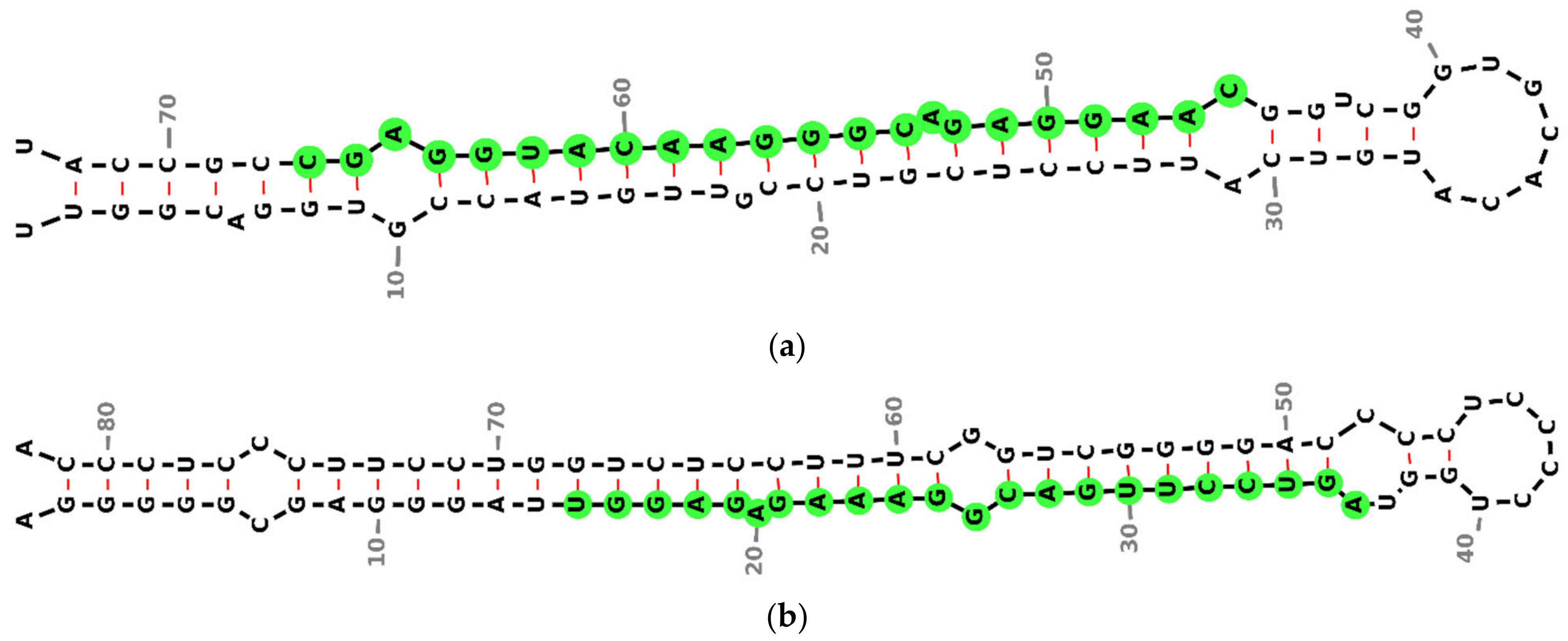 Biology 14 00424 g002
