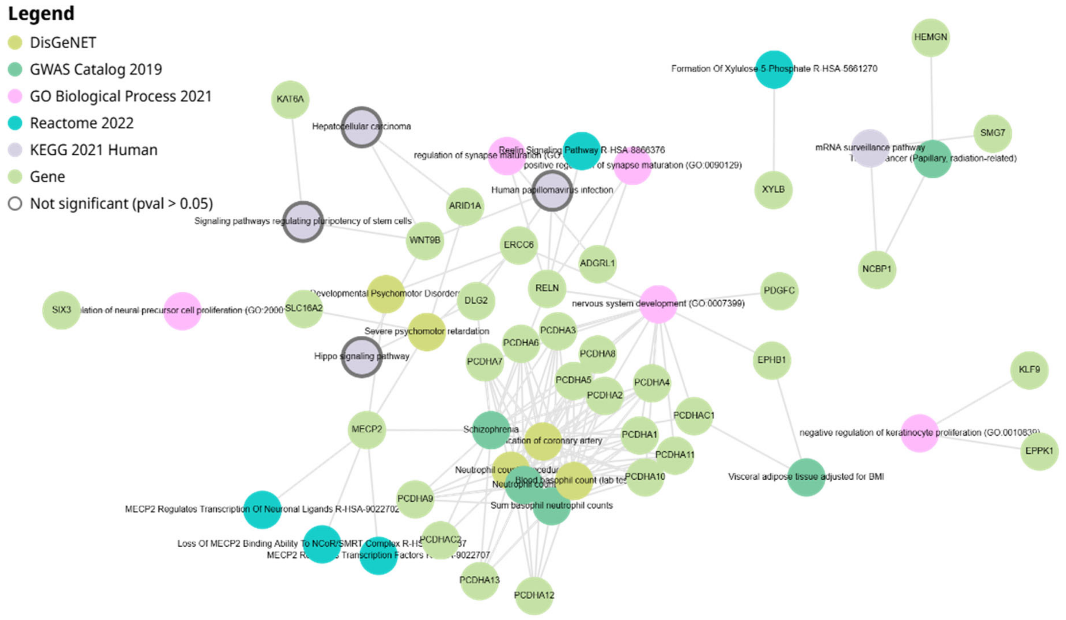 Biology 14 00424 g003