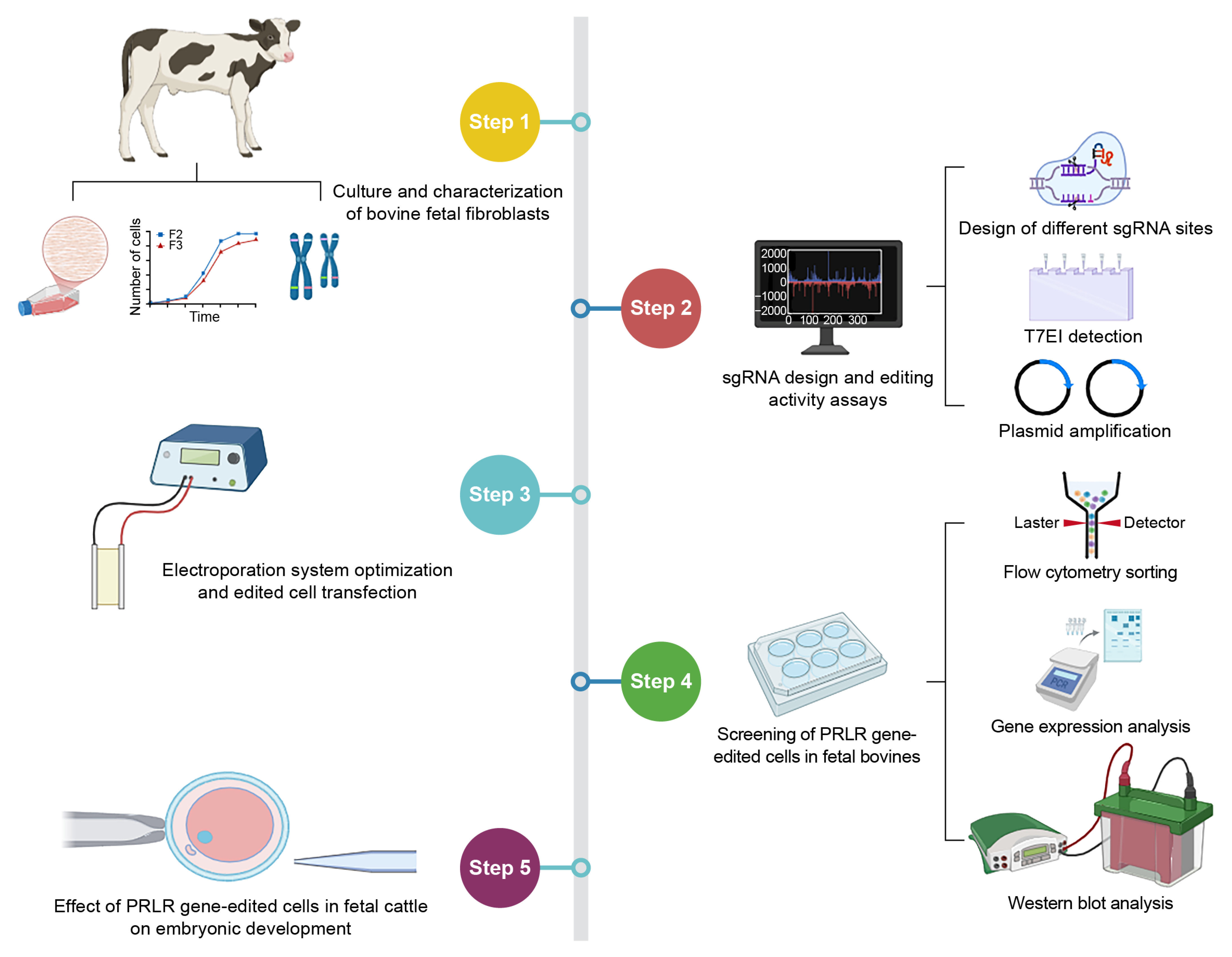 Biology 14 00425 g001