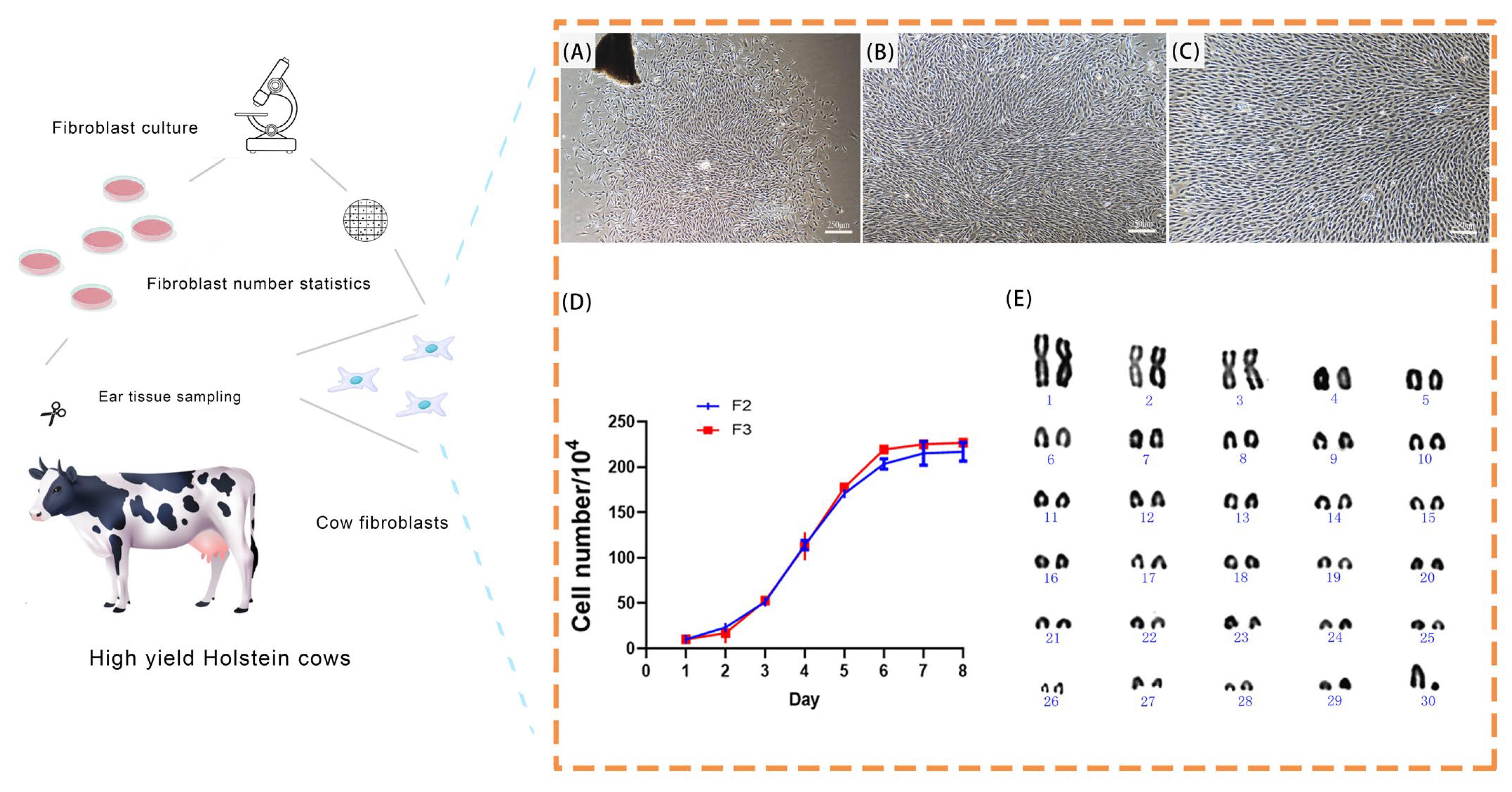 Biology 14 00425 g002