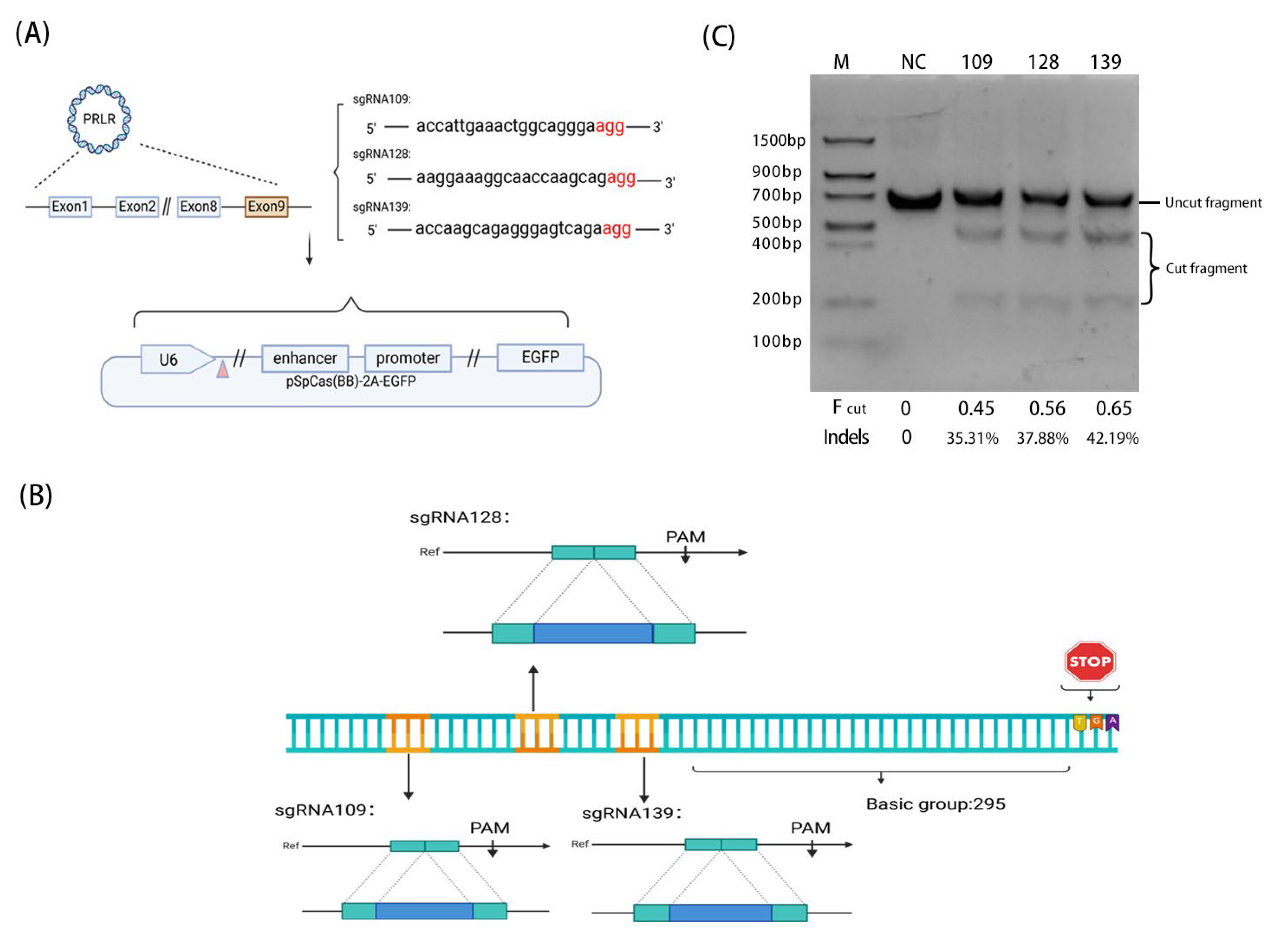 Biology 14 00425 g003