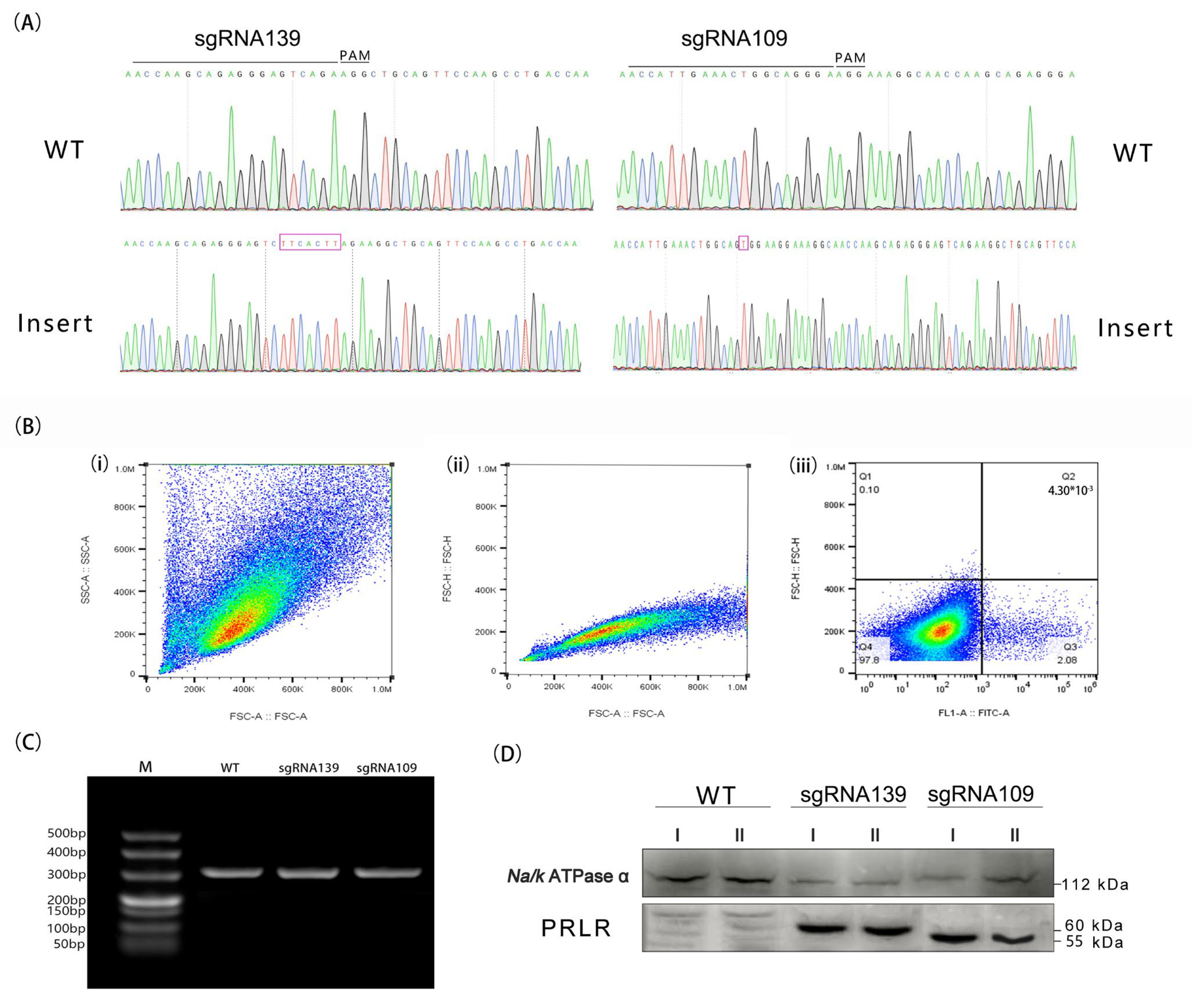 Biology 14 00425 g005