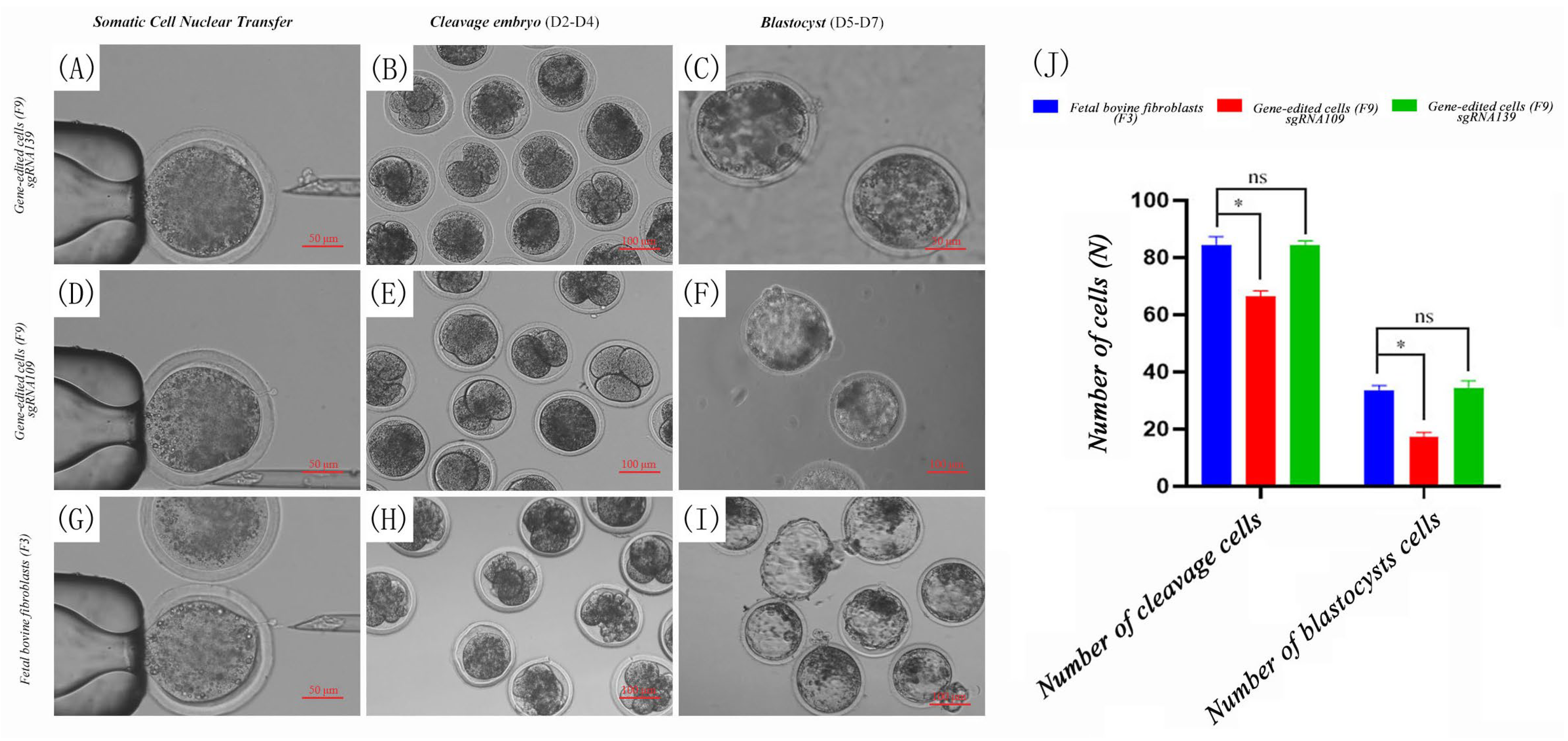 Biology 14 00425 g006