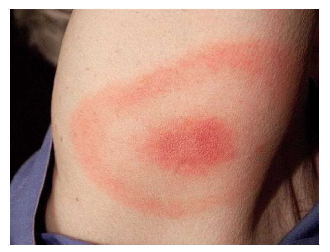 Biology 14 00427 g001