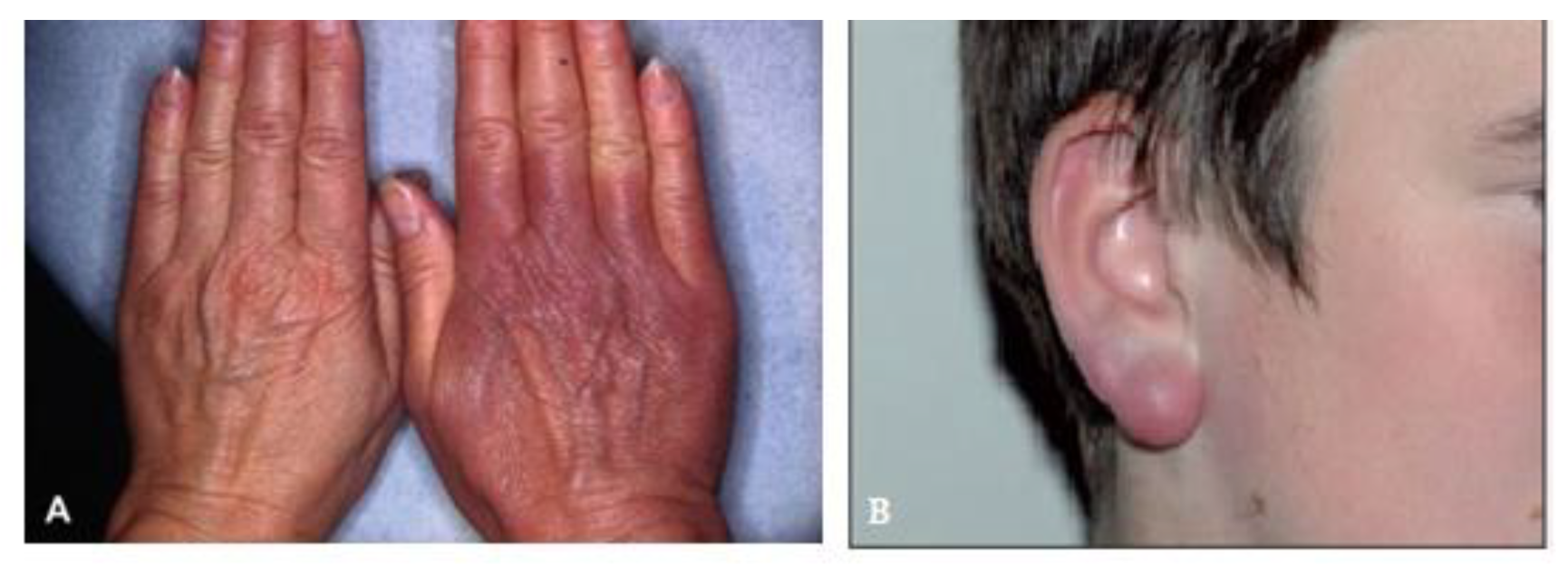 Biology 14 00427 g002