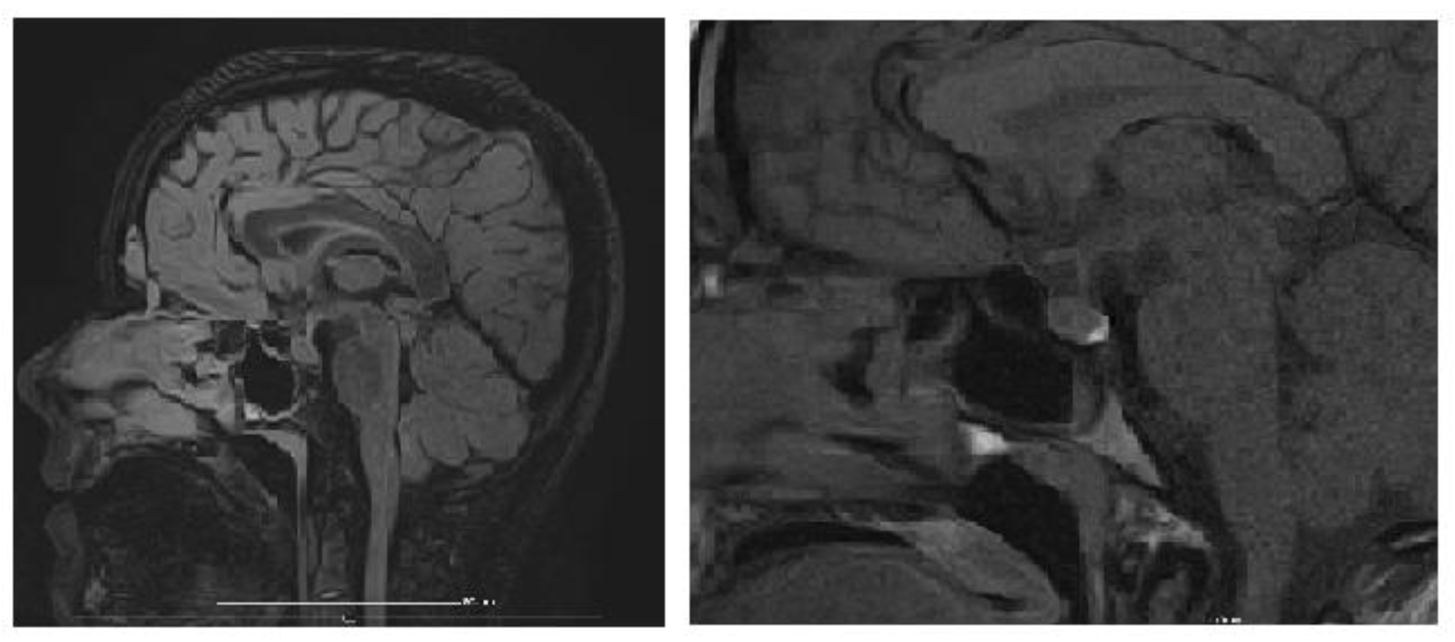 Biology 14 00427 g003