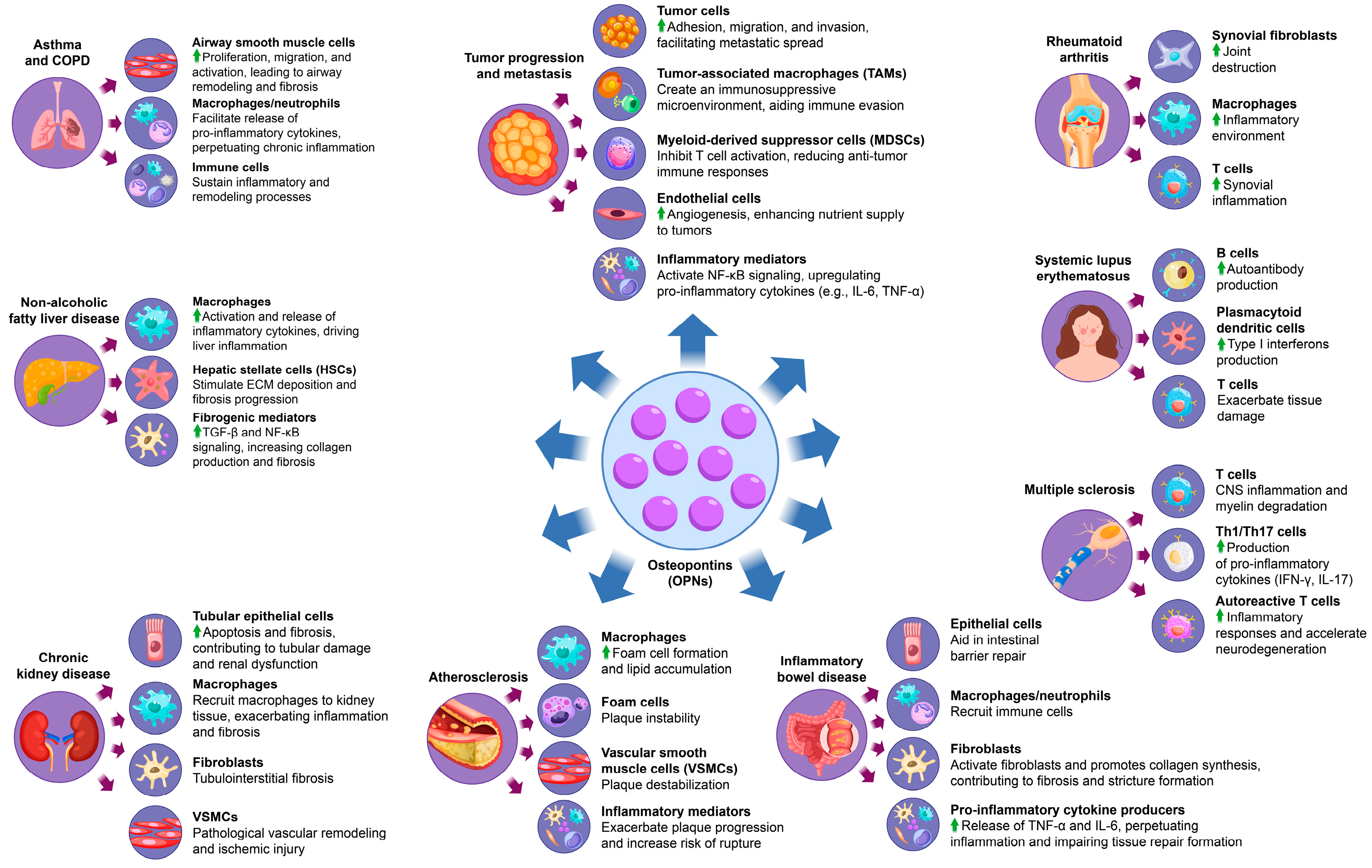 Biology 14 00428 g003