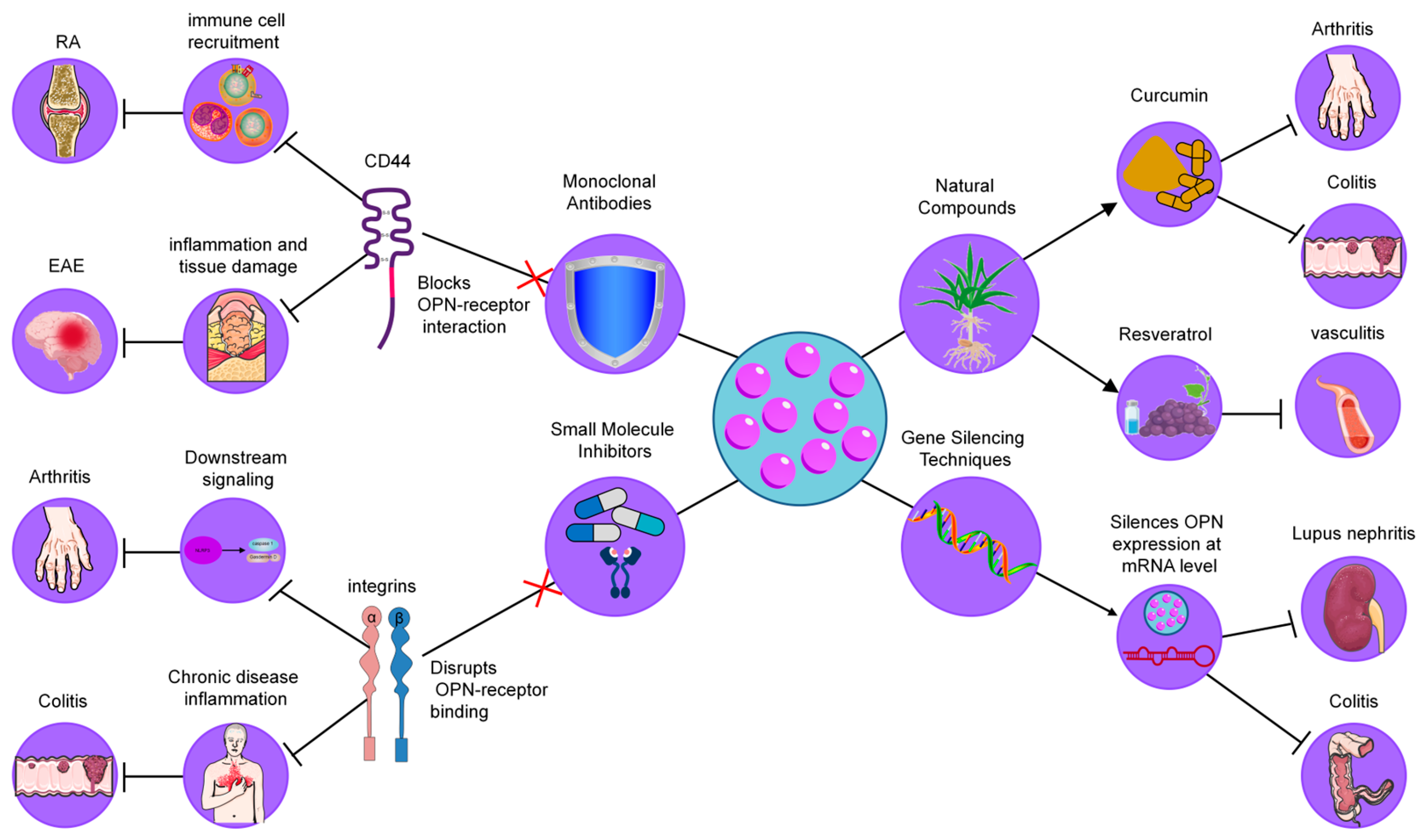 Biology 14 00428 g004