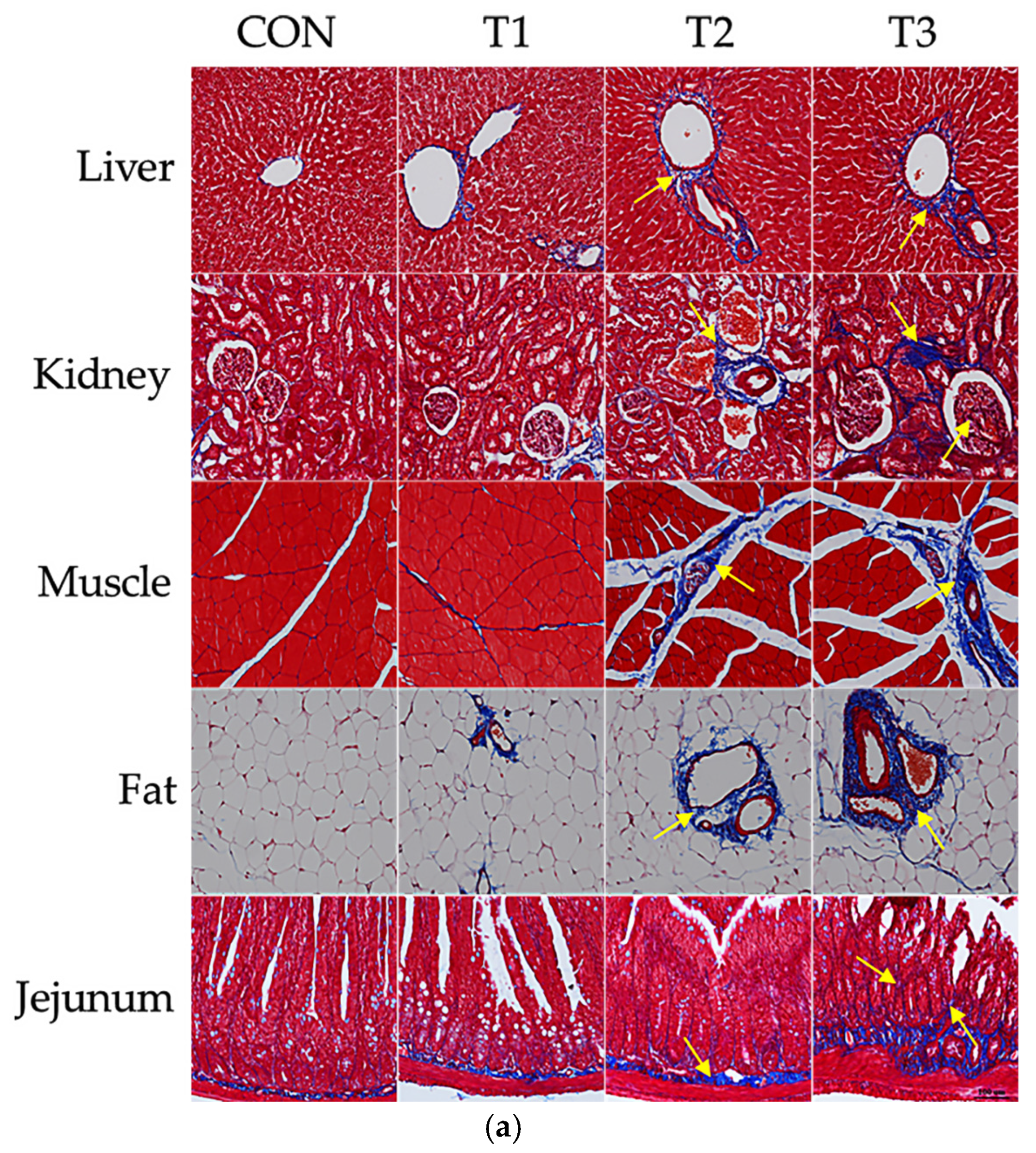 Biology 14 00429 g003a