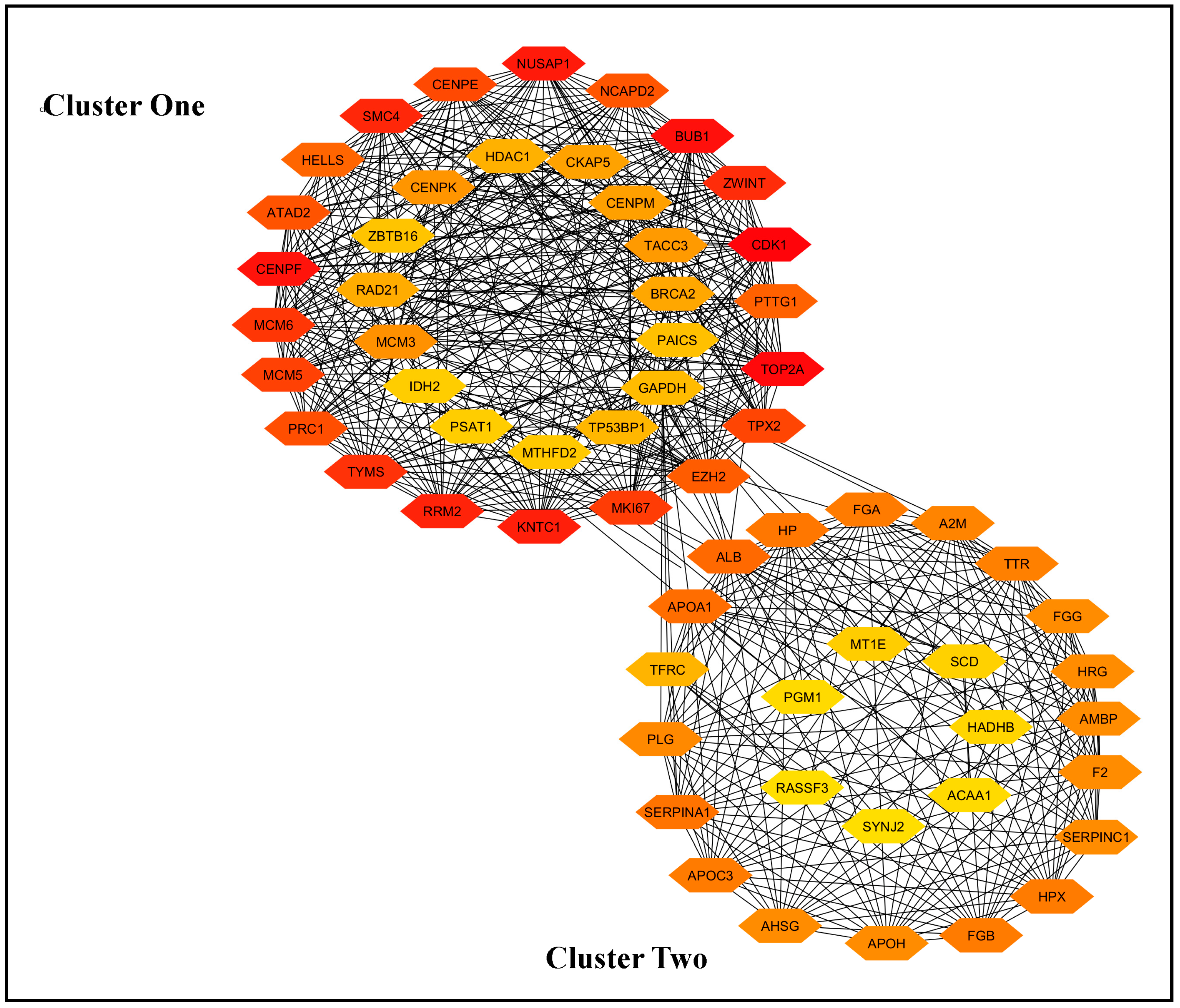 Biology 14 00431 g002