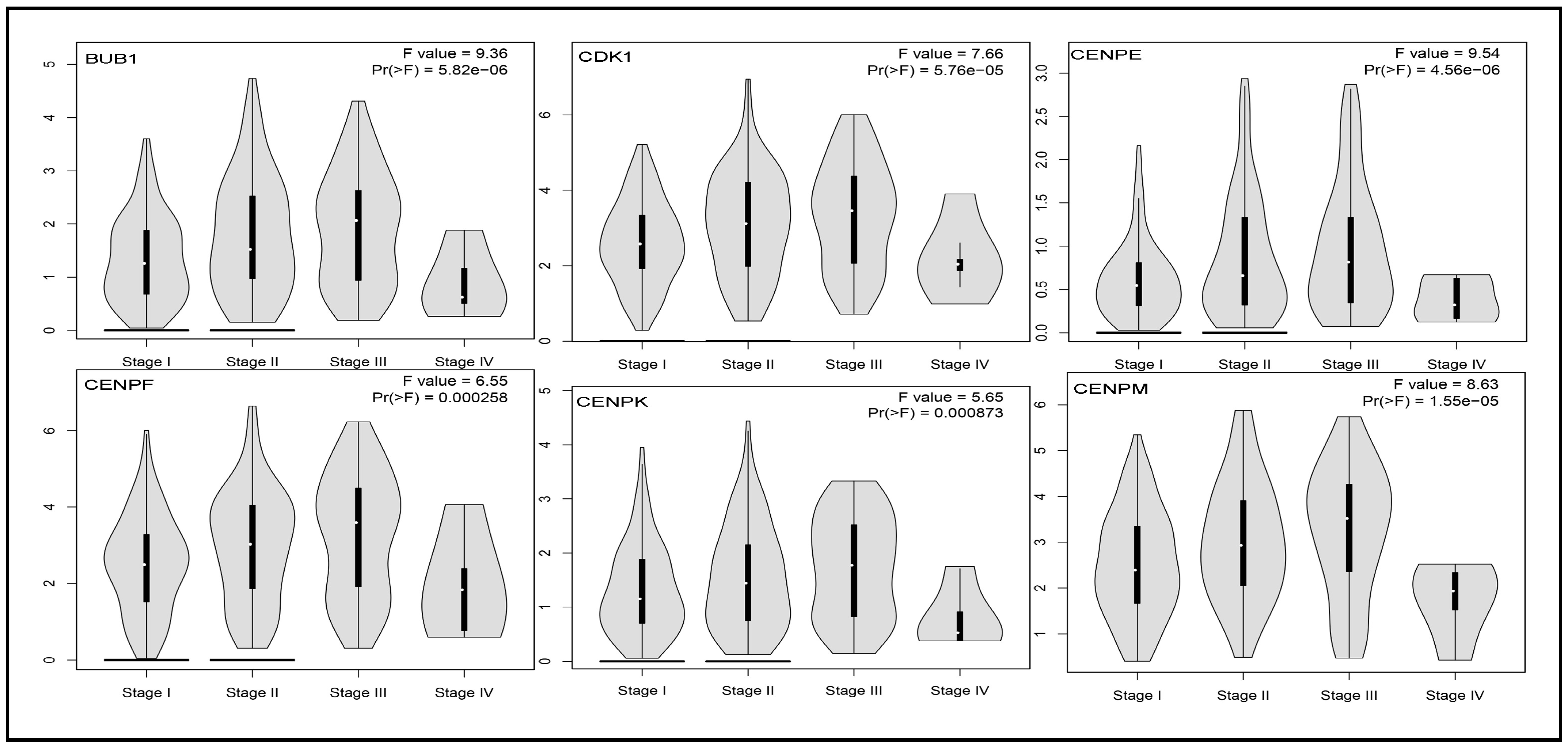 Biology 14 00431 g004