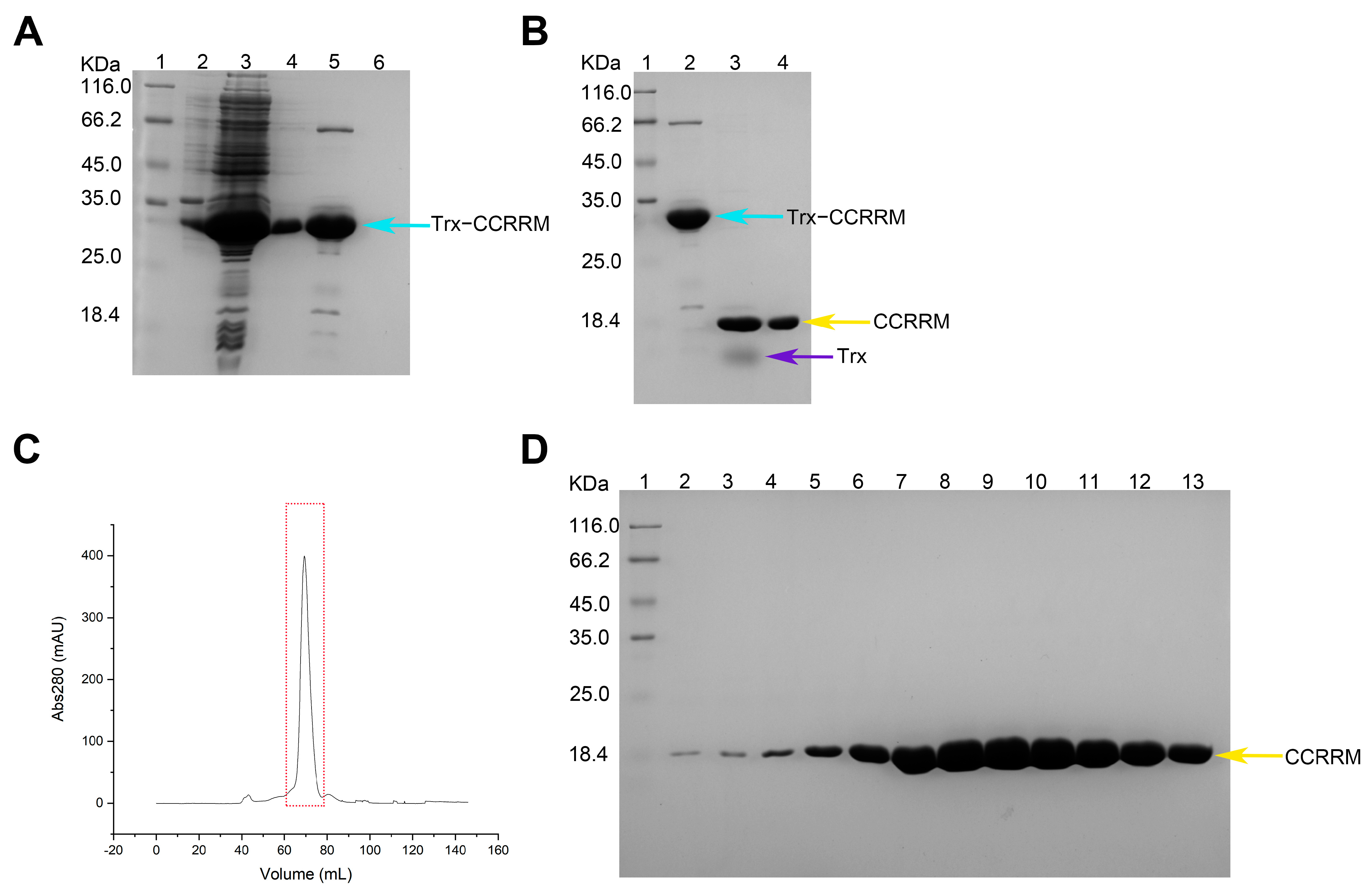 Biology 14 00432 g001