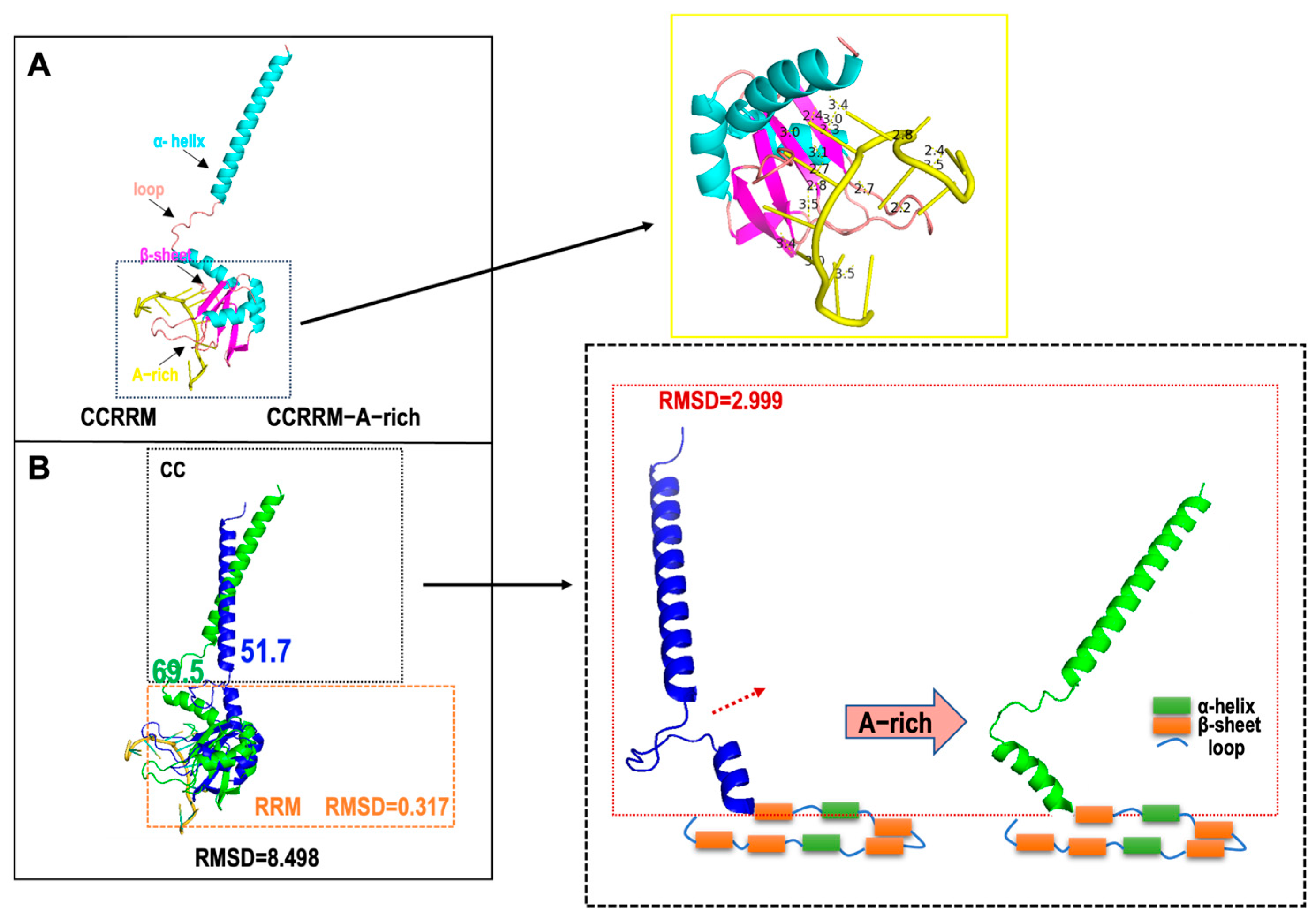 Biology 14 00432 g004