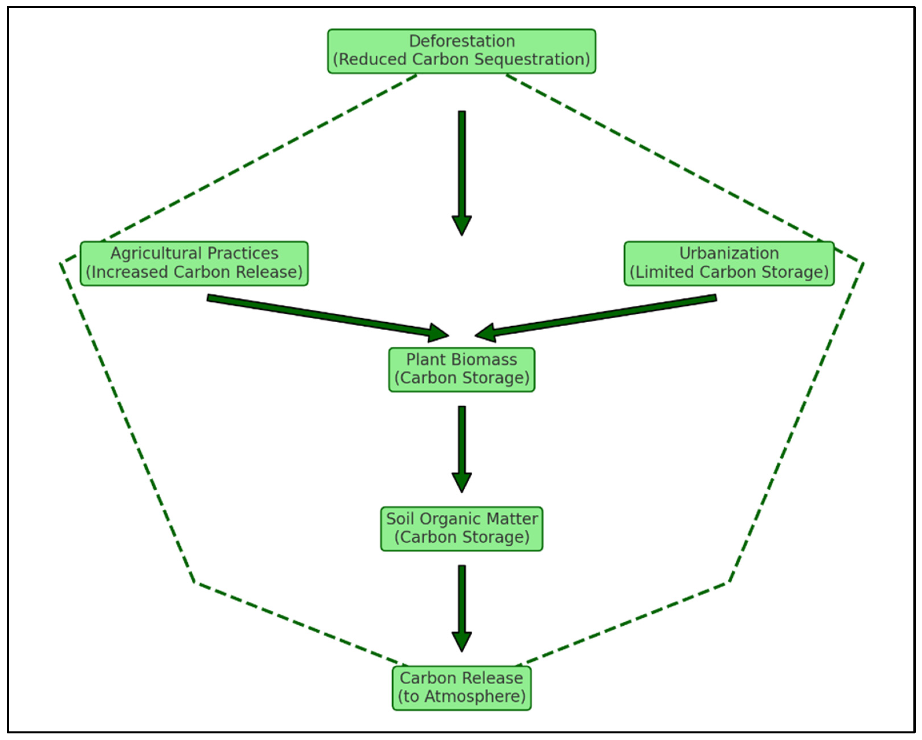 Biology 14 00433 g001