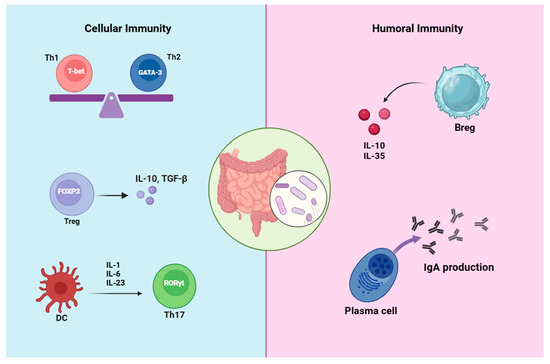 Microbiota-Driven Mechanisms in Multiple Sclerosis