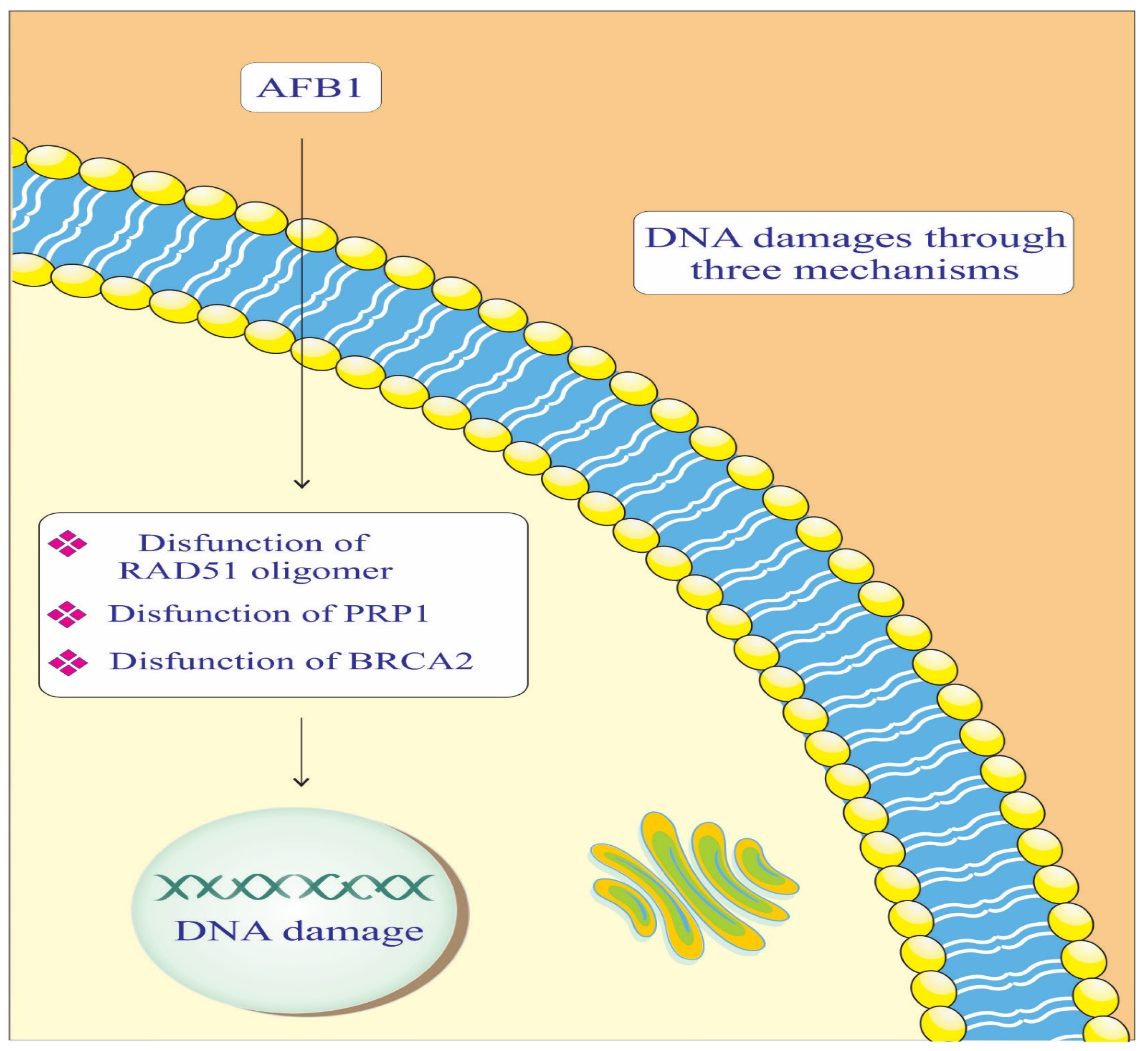 Biology 14 00436 g002