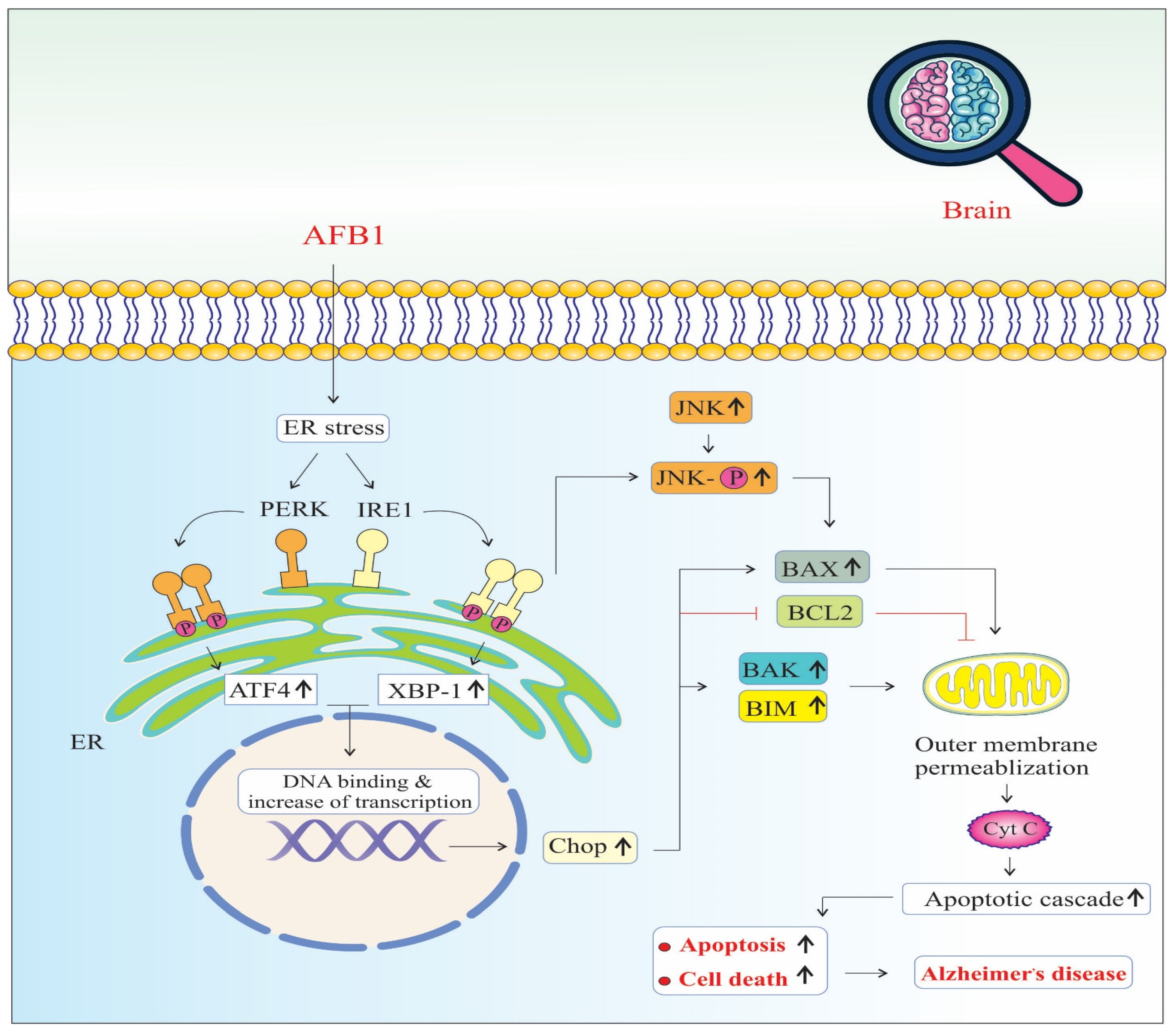 Biology 14 00436 g003