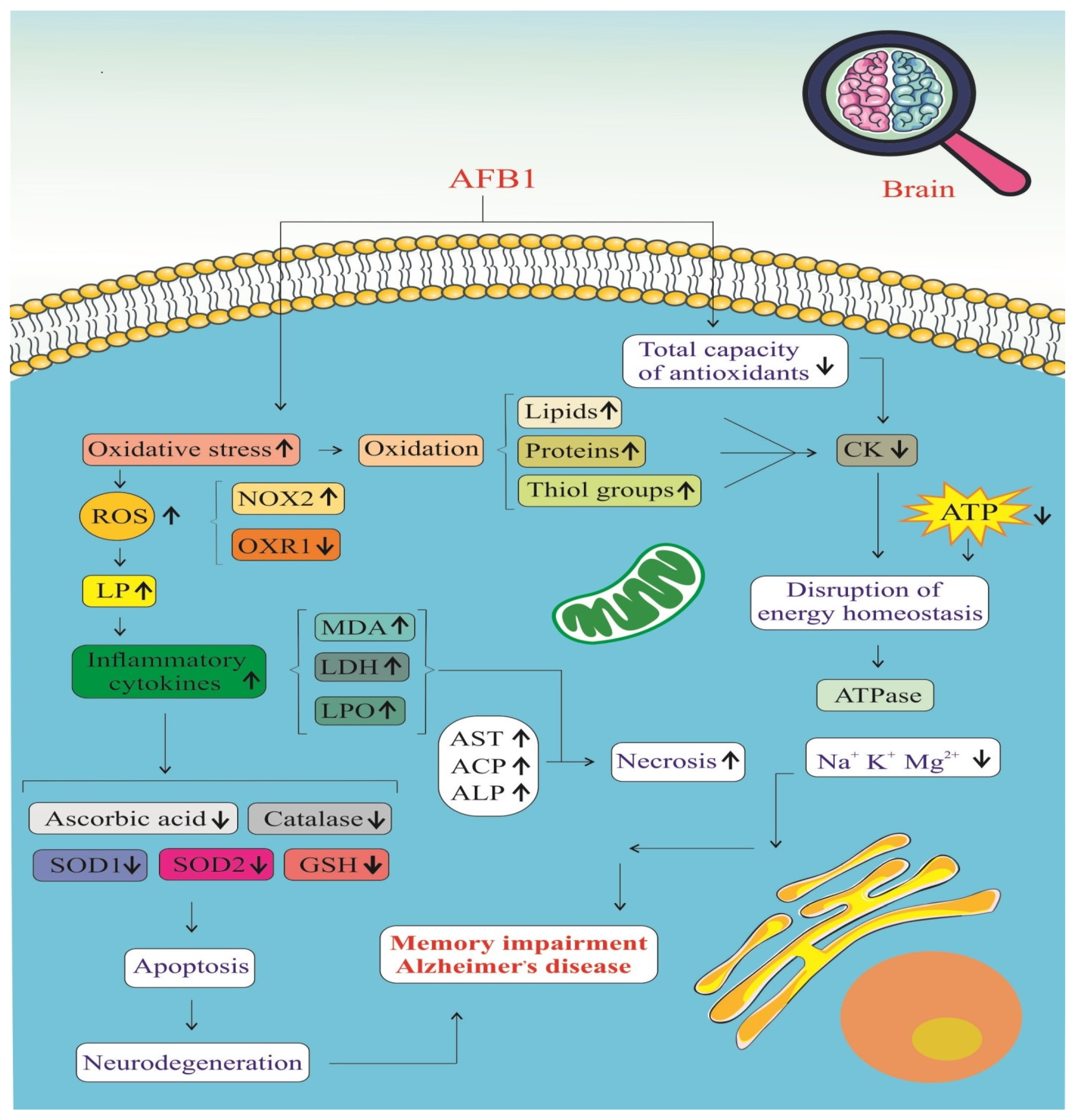 Biology 14 00436 g005