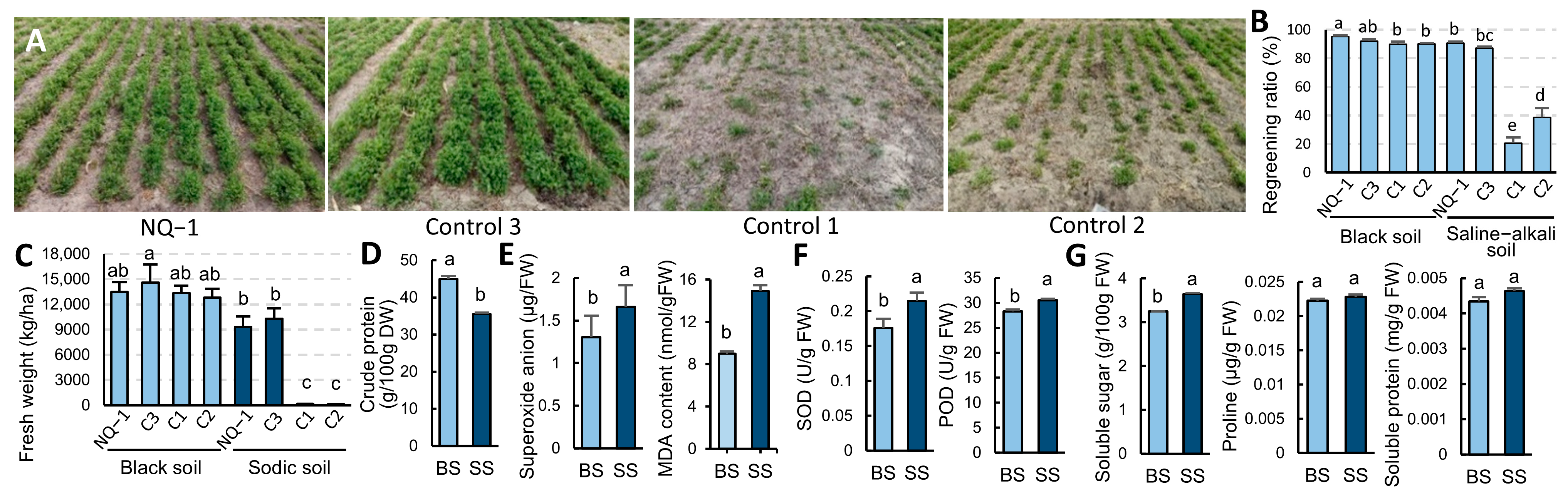 Biology 14 00439 g001