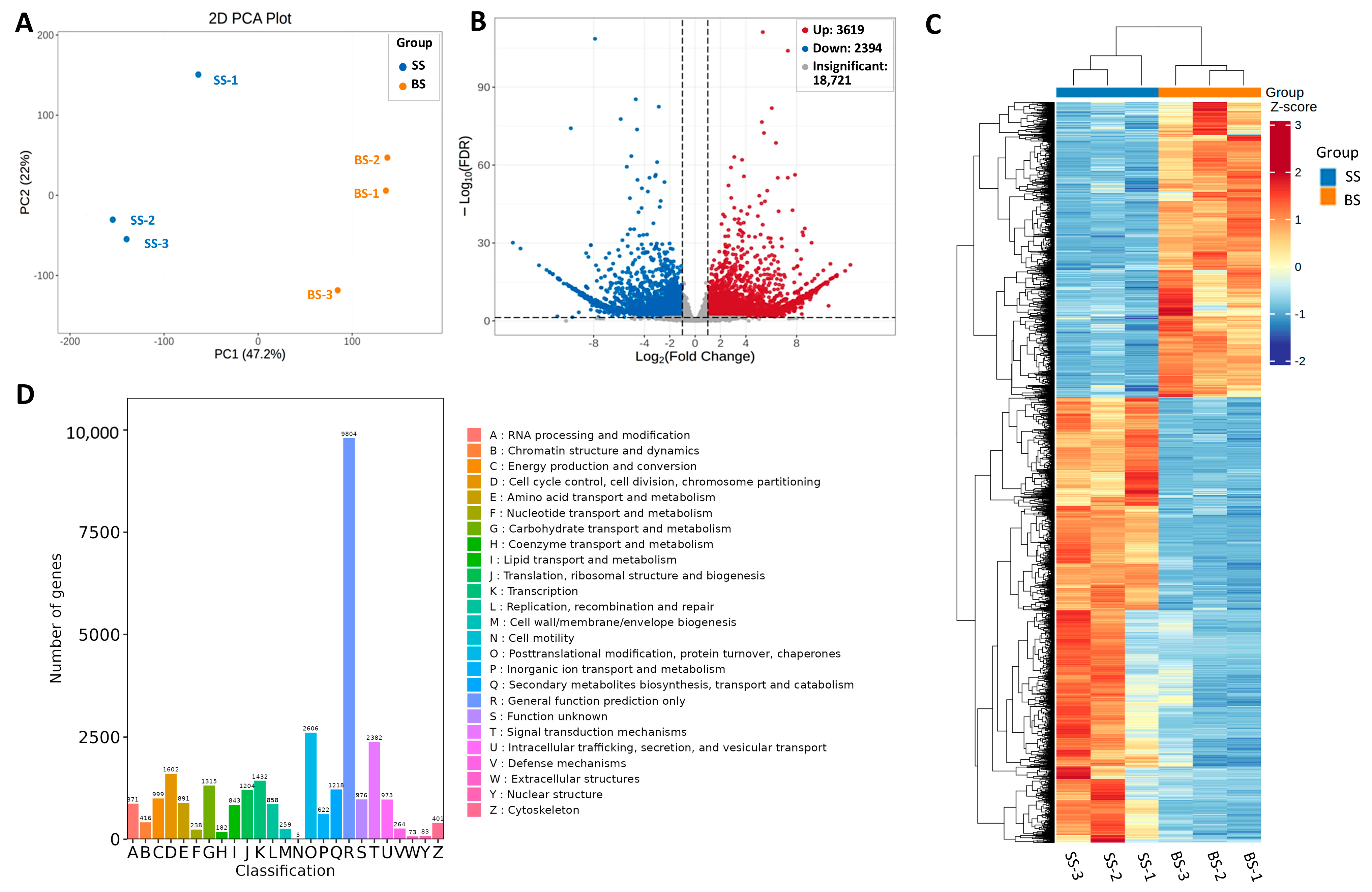 Biology 14 00439 g002