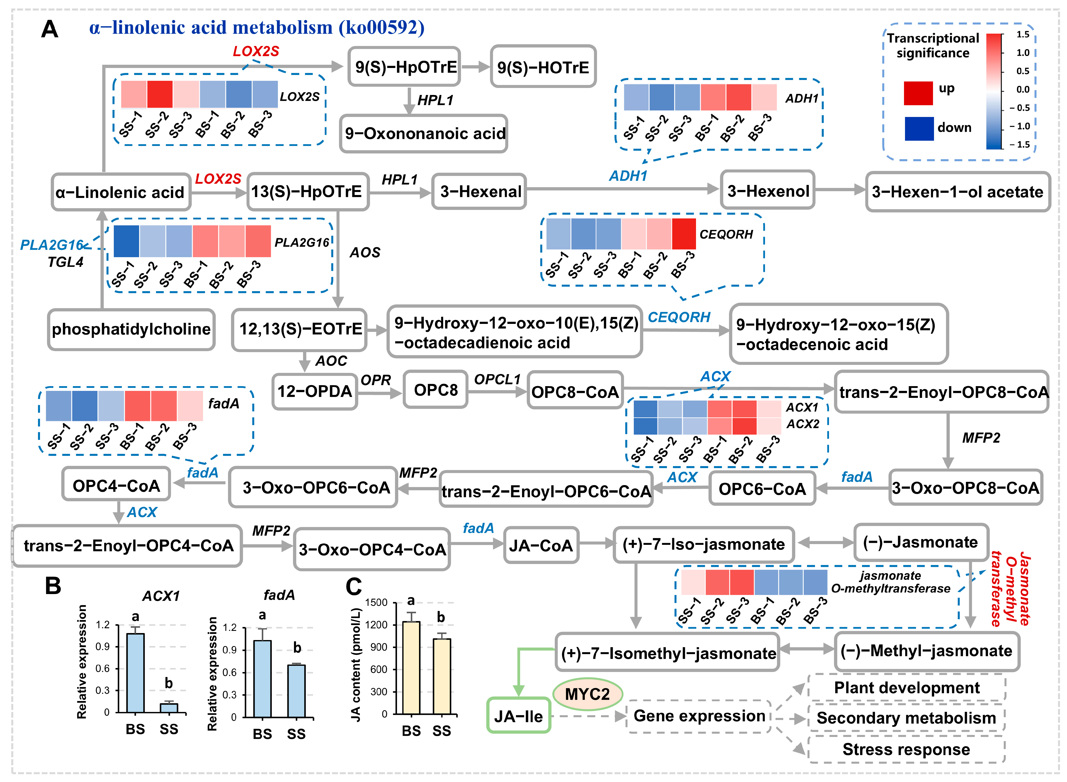 Biology 14 00439 g004