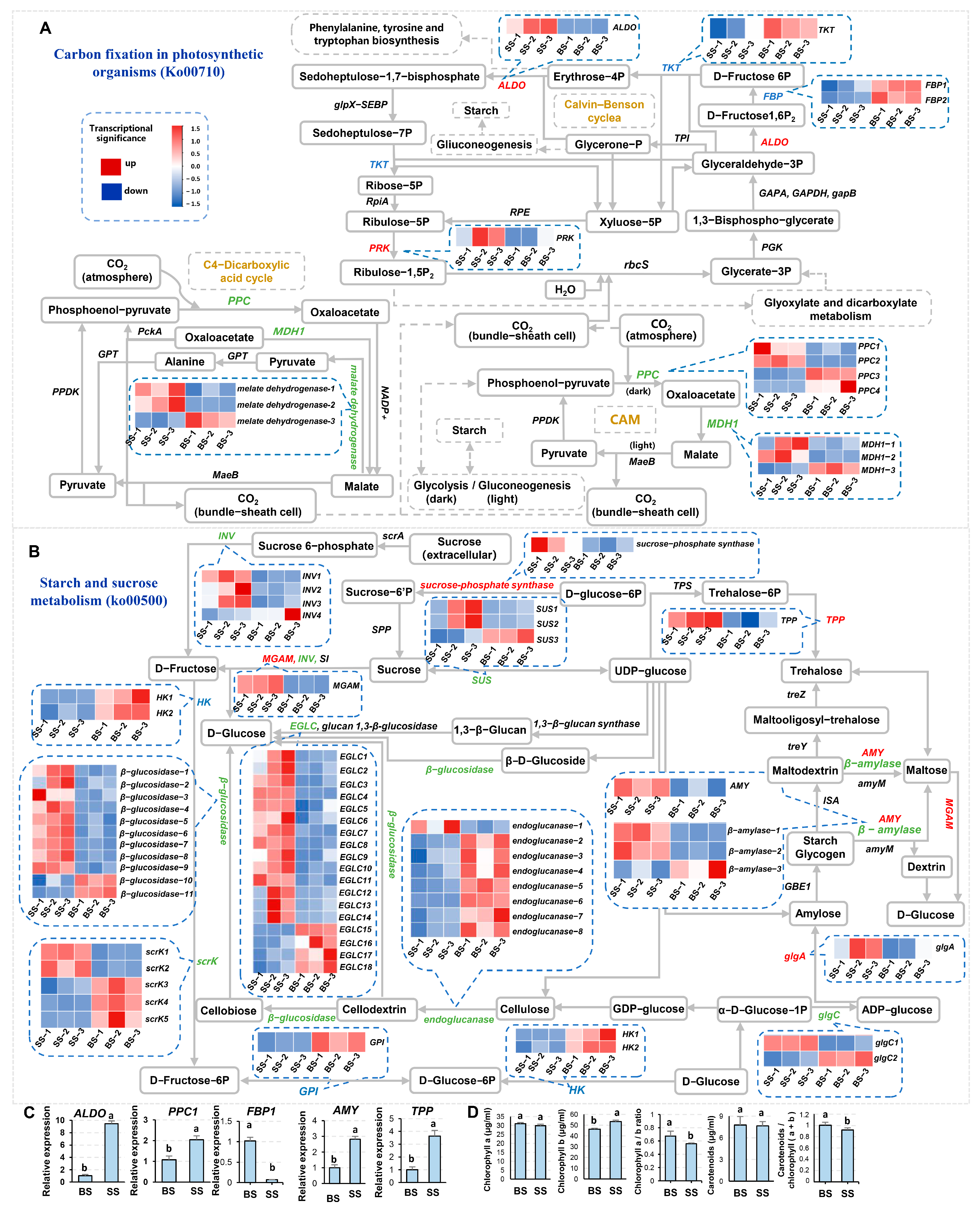 Biology 14 00439 g005