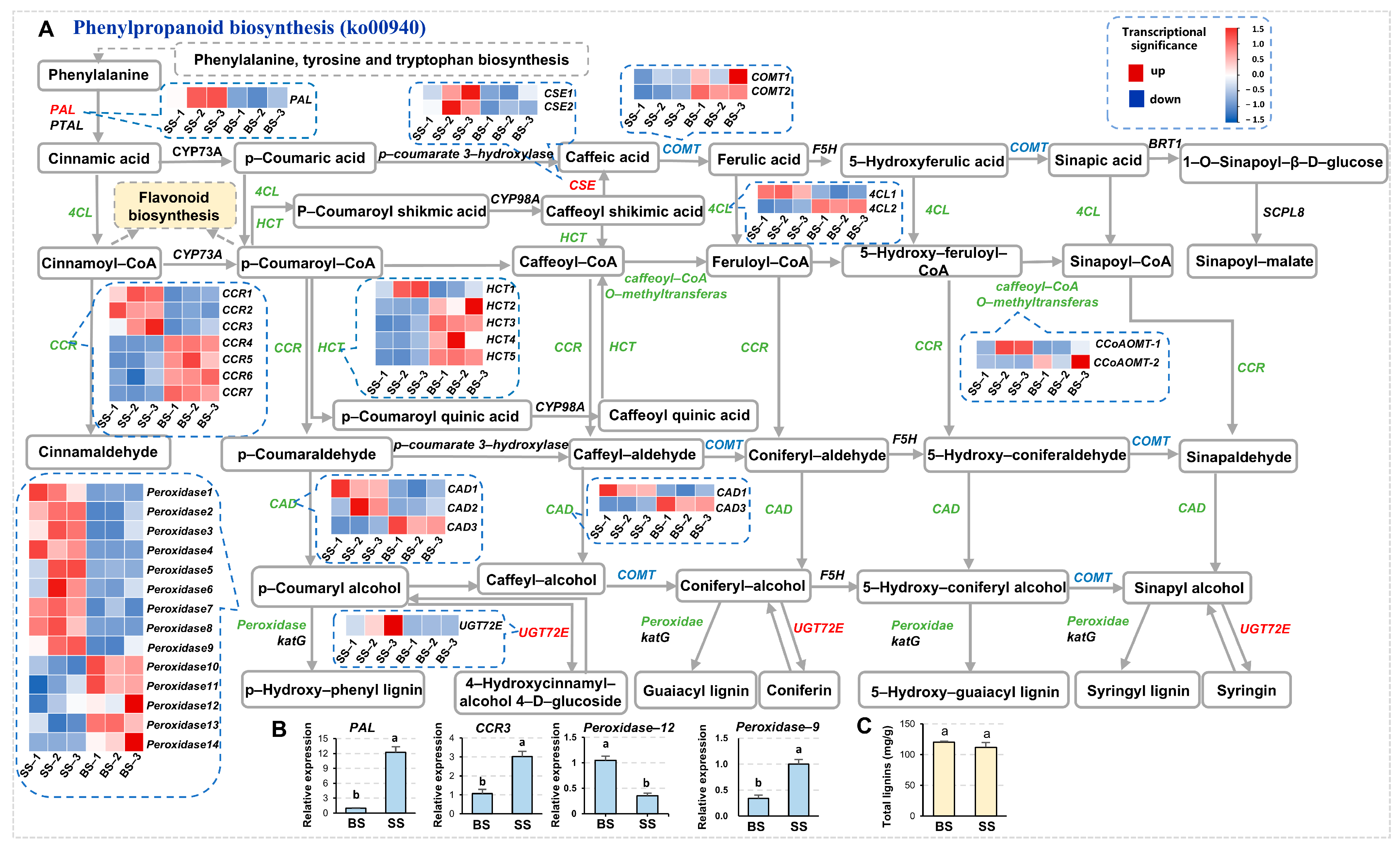 Biology 14 00439 g006