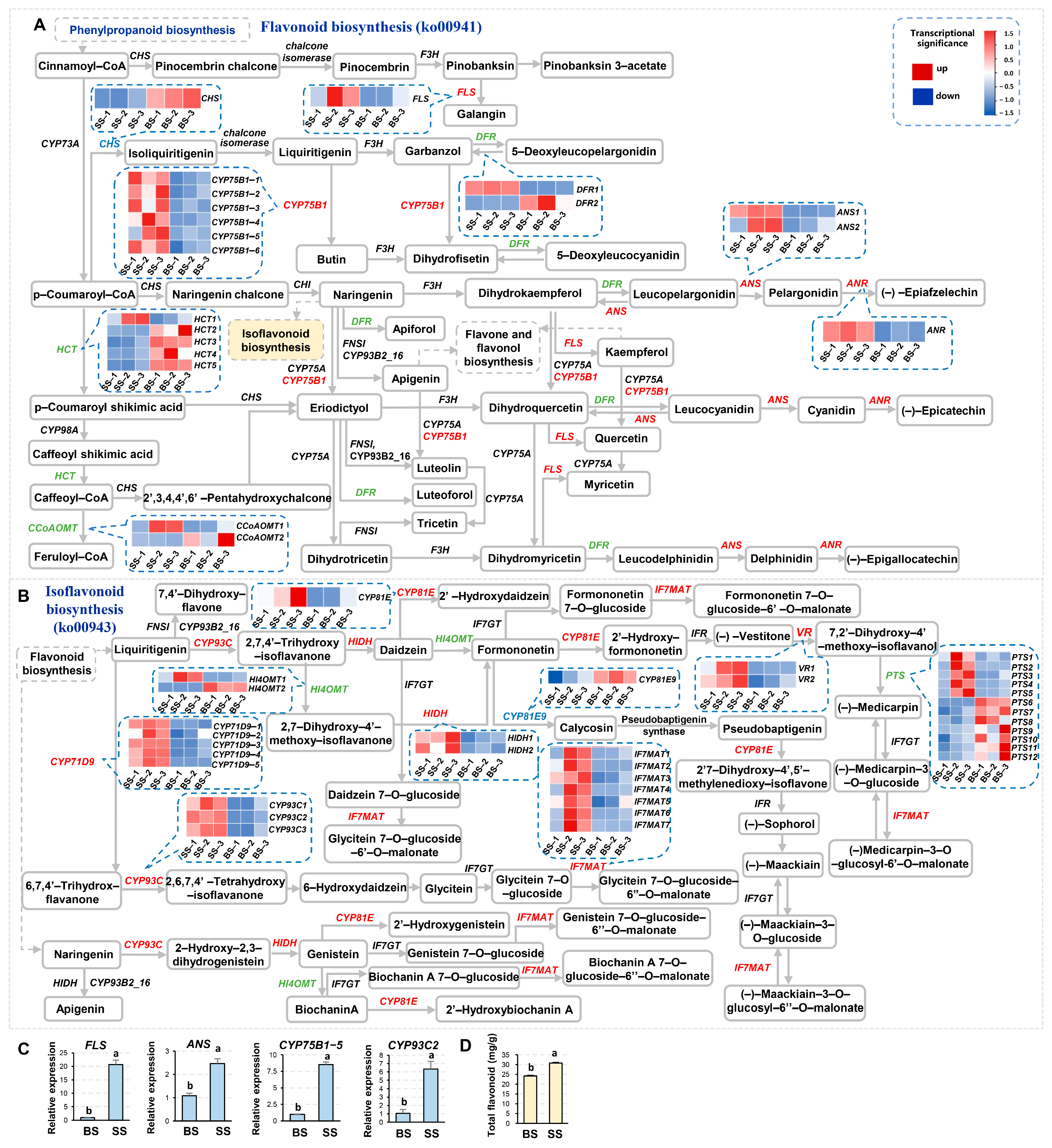 Biology 14 00439 g007