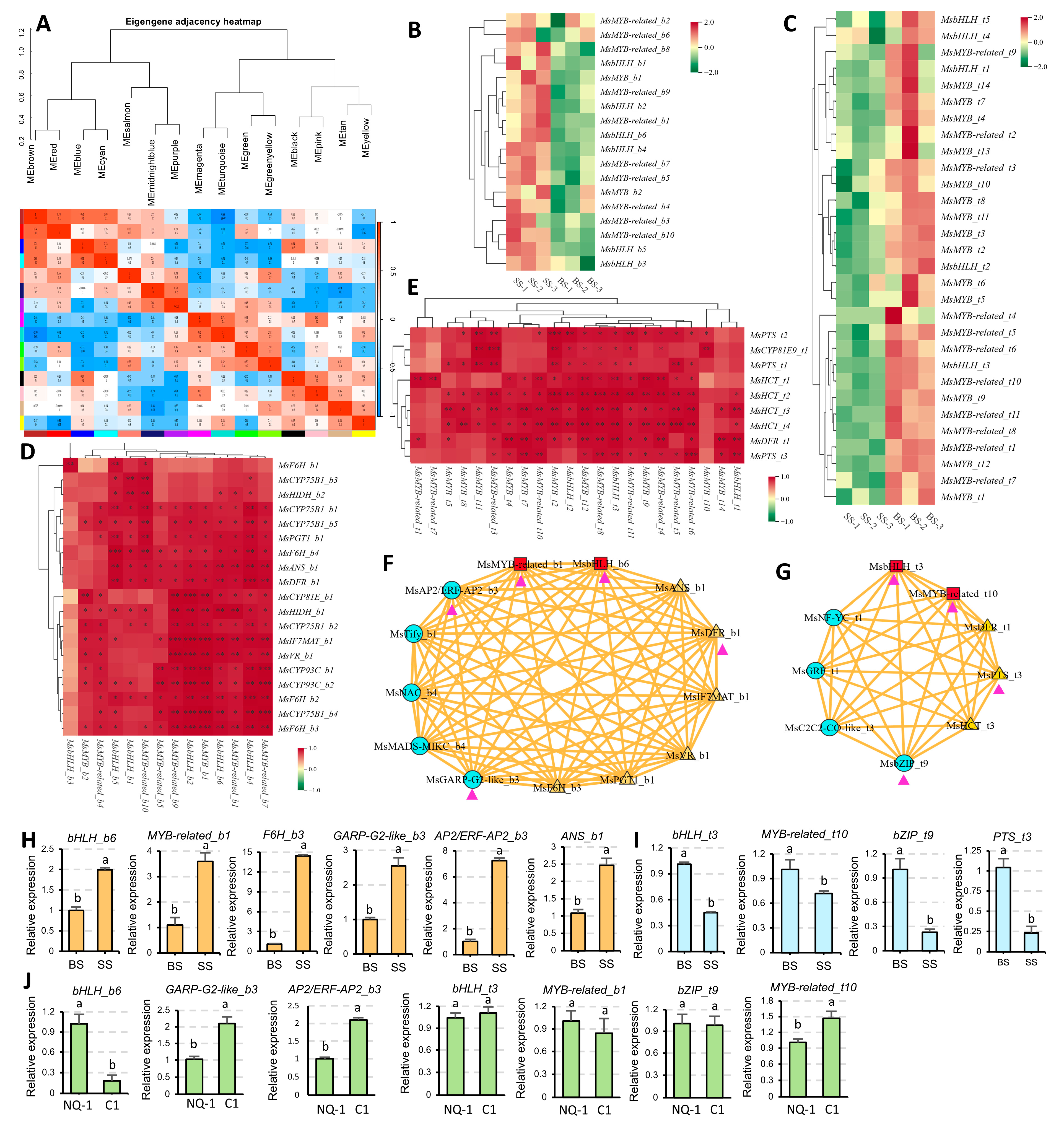Biology 14 00439 g009