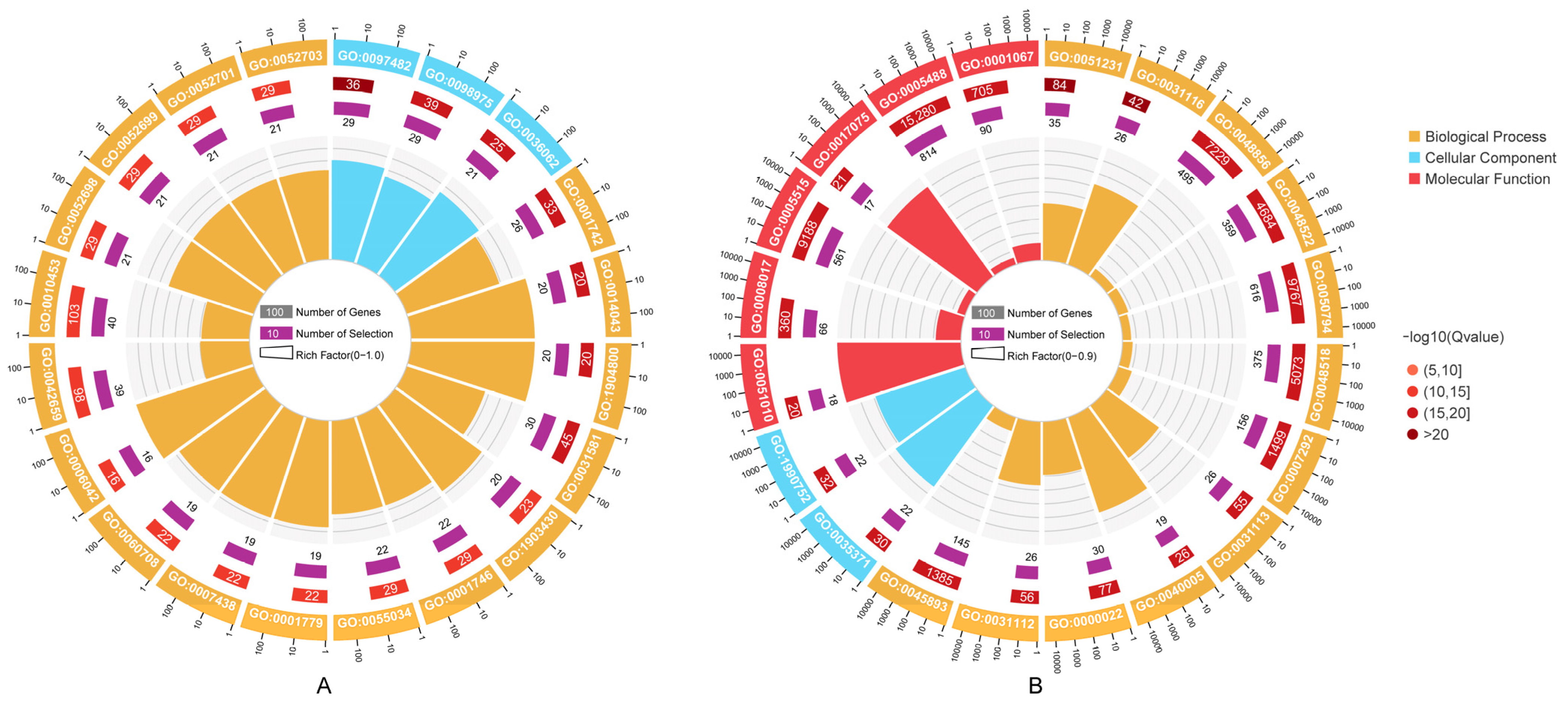 Biology 14 00440 g005