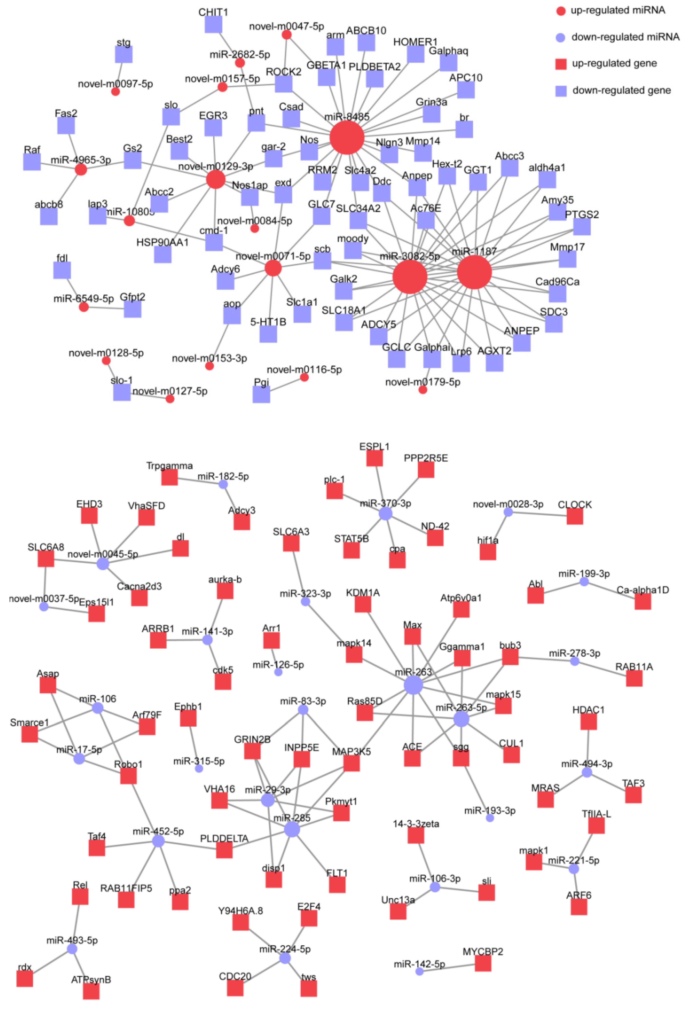 Biology 14 00440 g007